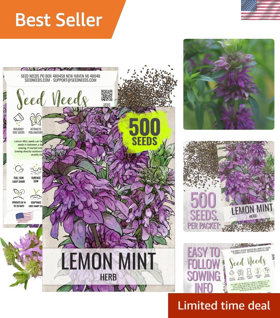 Lemon Mint Heirloom Seeds – Non-GMO, Medicinal & Culinary Herb ,500 Count