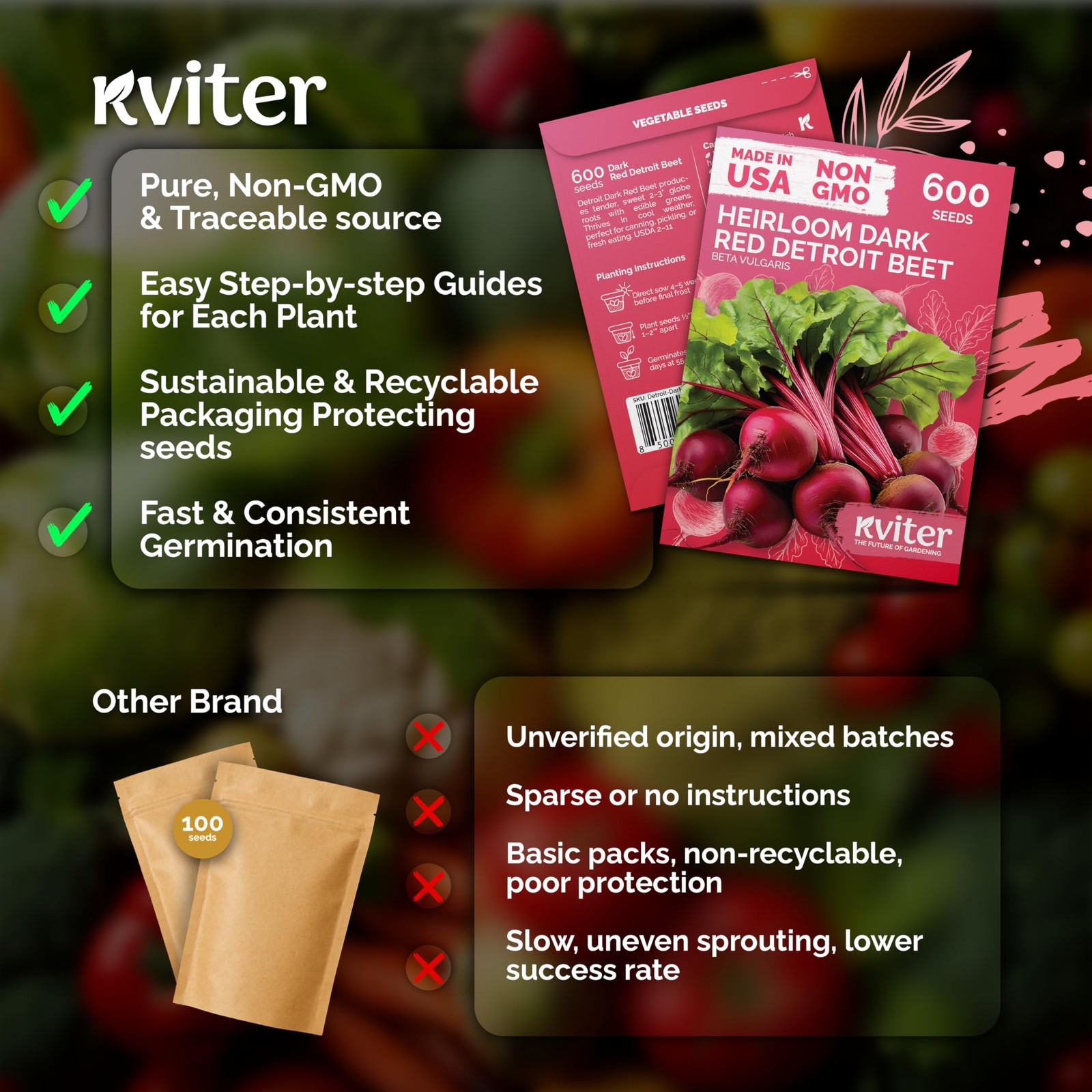 KVITER 600 Detroit Dark Red Beet Seeds (Beta vulgaris)