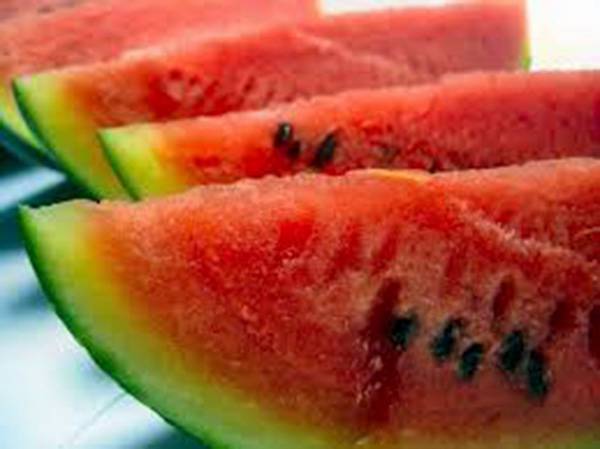 WATERMELON SEEDS, CHARLESTON GREY, HEIRLOOM, 500 SEEDS, WATERMELONS