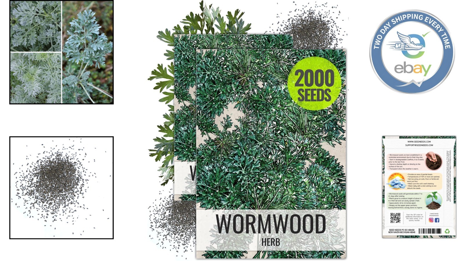Wormwood Seeds for Planting – Non-GMO Perennial Herb for Digestion – 1000 Seeds