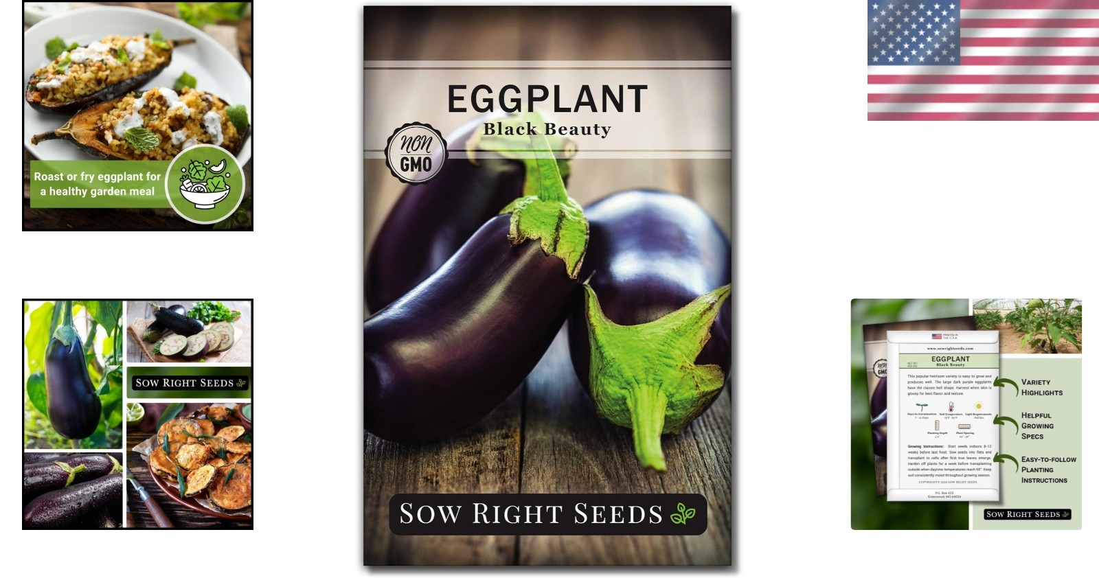 Easy-to-Grow Black Beauty Eggplant Seeds – High Germination Rate, Purple Fruits