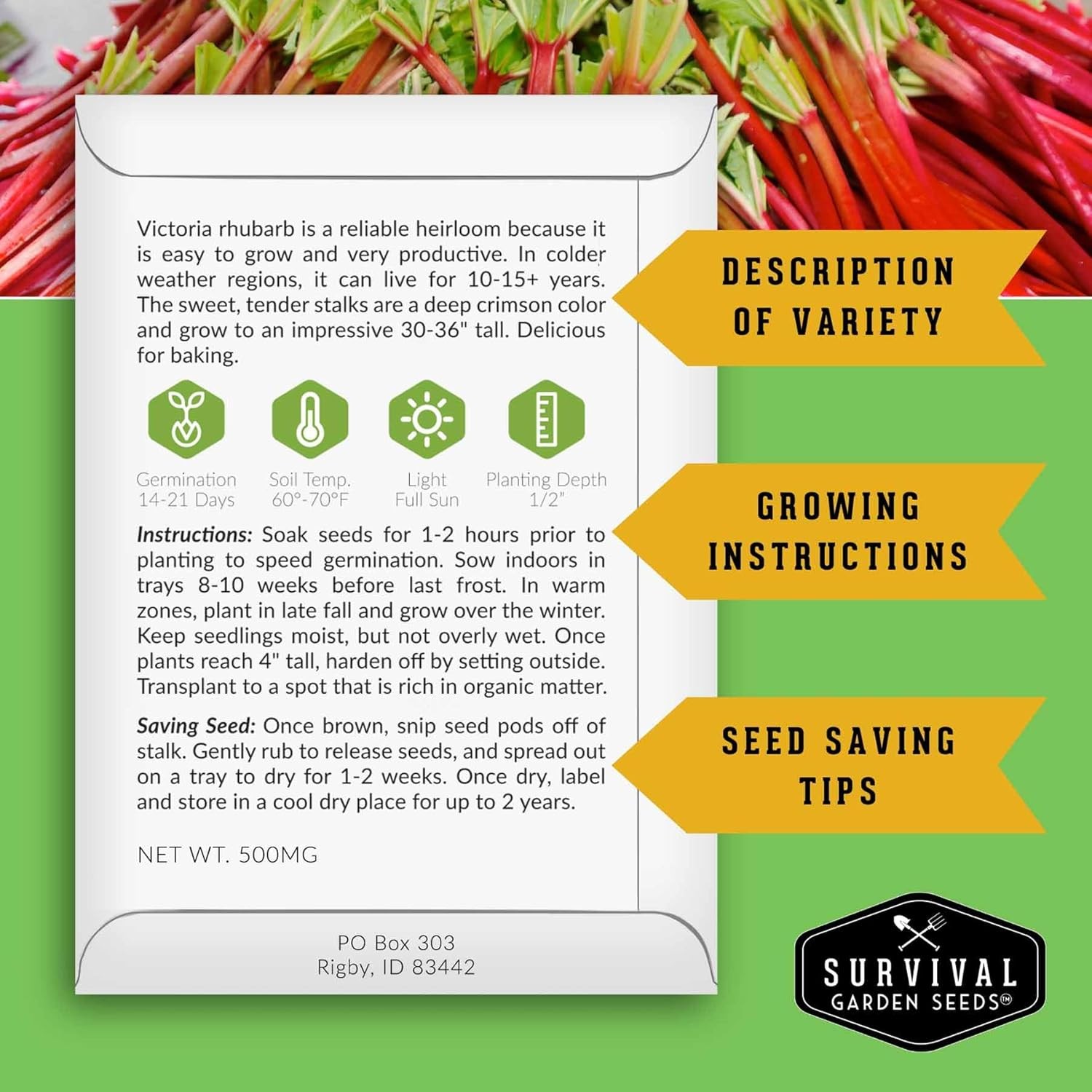 Victoria Rhubarb Seeds for Planting – Grow Cold-Tolerant Perennial Spring Vegeta