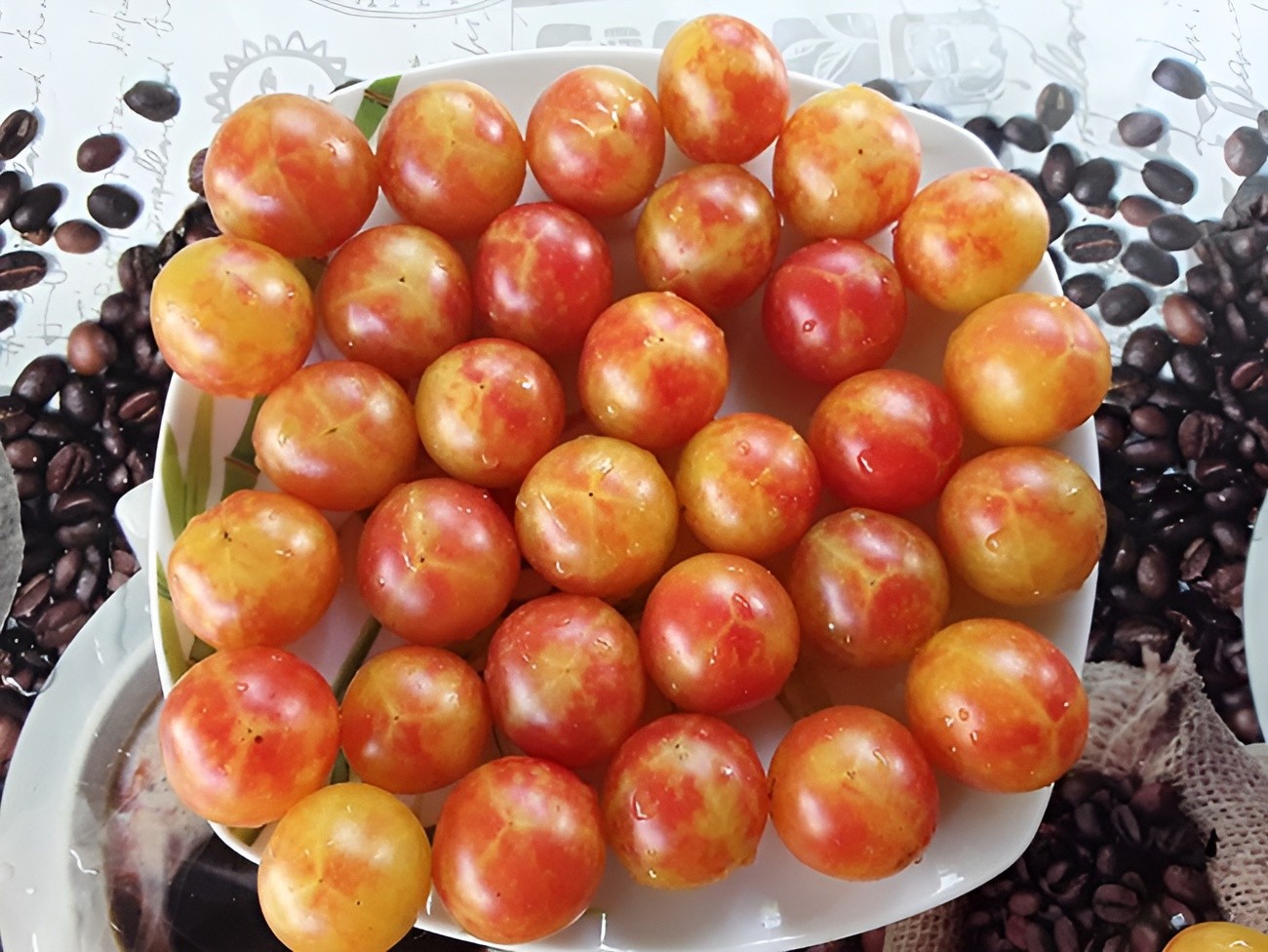 100 Isis Candy Cherry Tomato Seeds -One Of The Sweetest Indeterminate Tomatoes