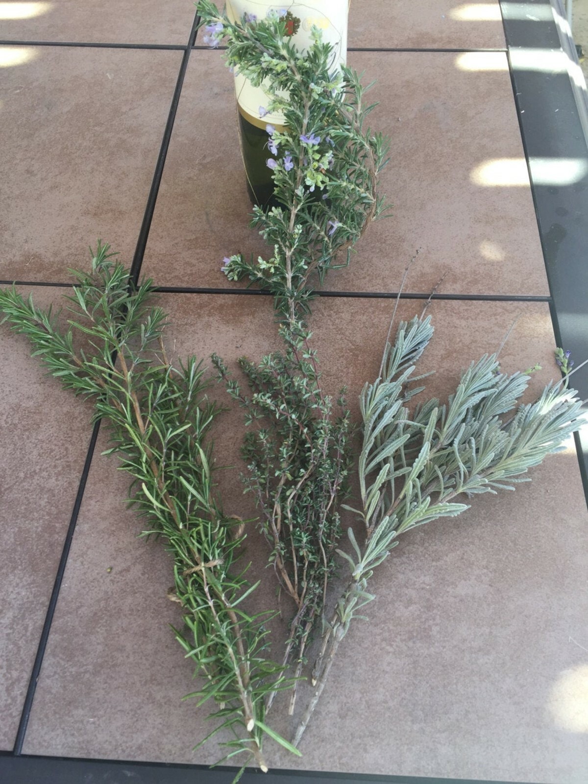 Fresh Cut Home Grown Herbs: Rosemary, Lavender, Garlic Chives, Oregano, Rue, Mar