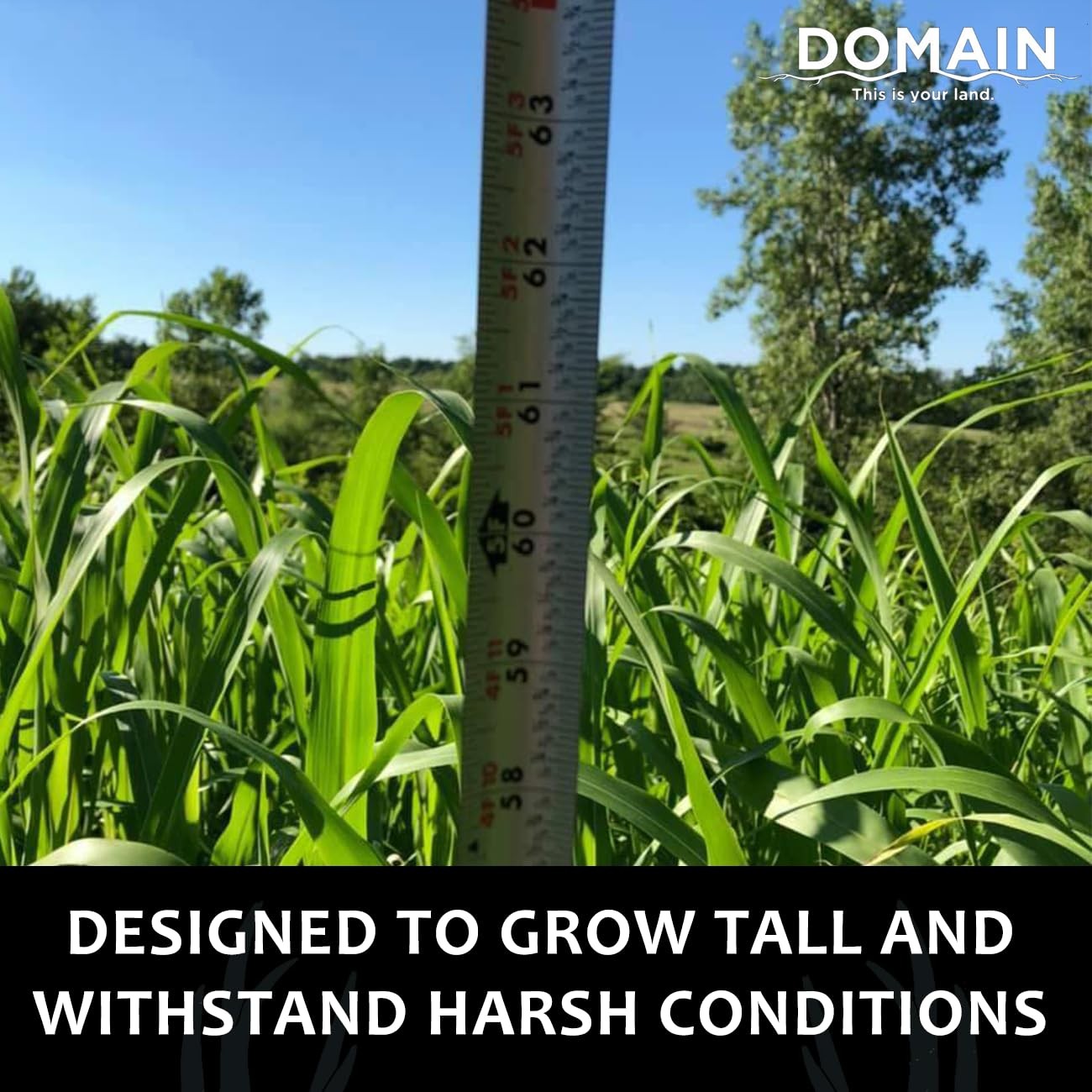 “Incognito Deer Plot Seed for 1/4 Acre Fast Growing Concealment Solution”