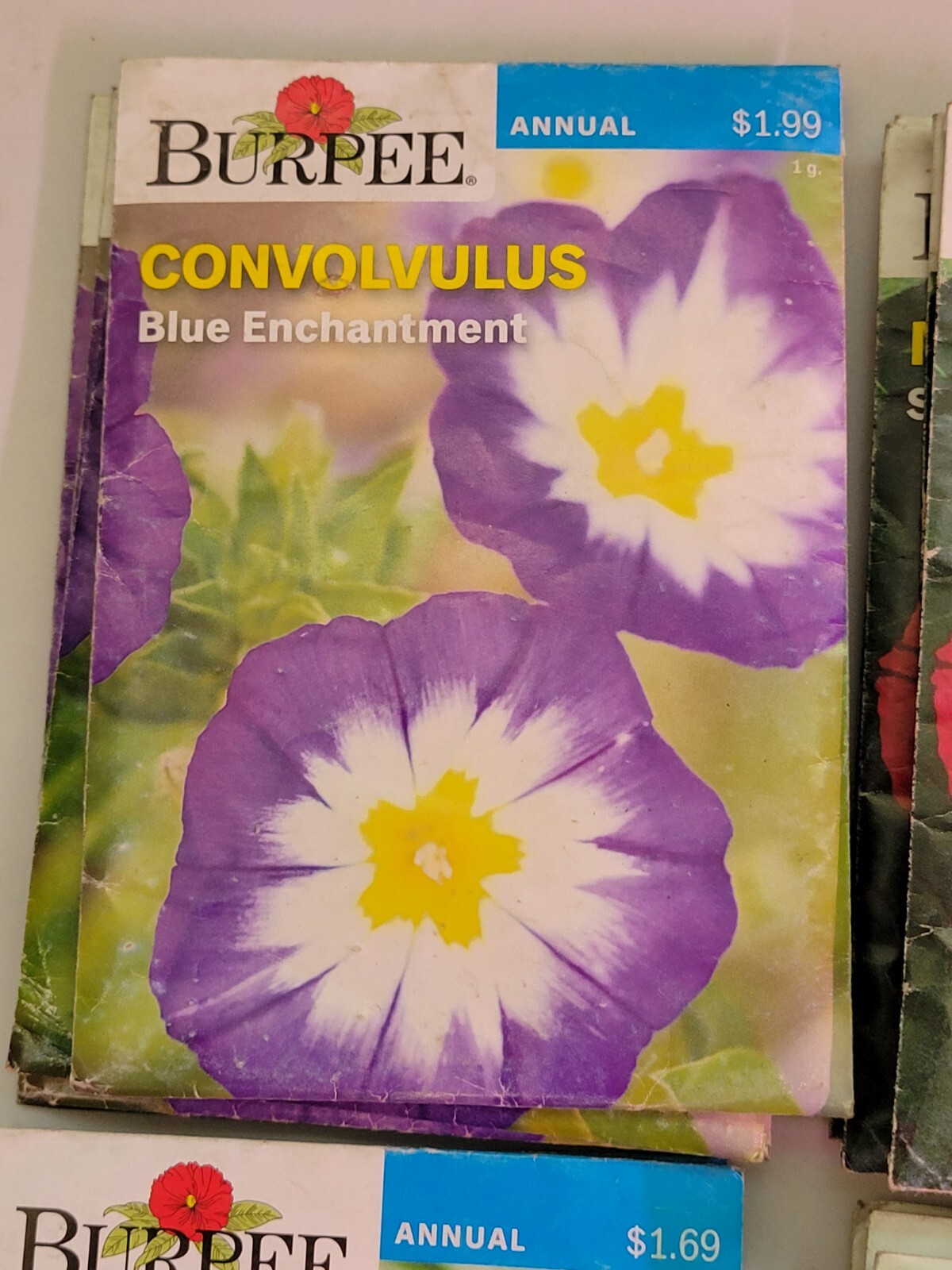 Burpee Flower Seed Assortment 3 (2020) New Sealed Inventory Guaranteed to Sprout