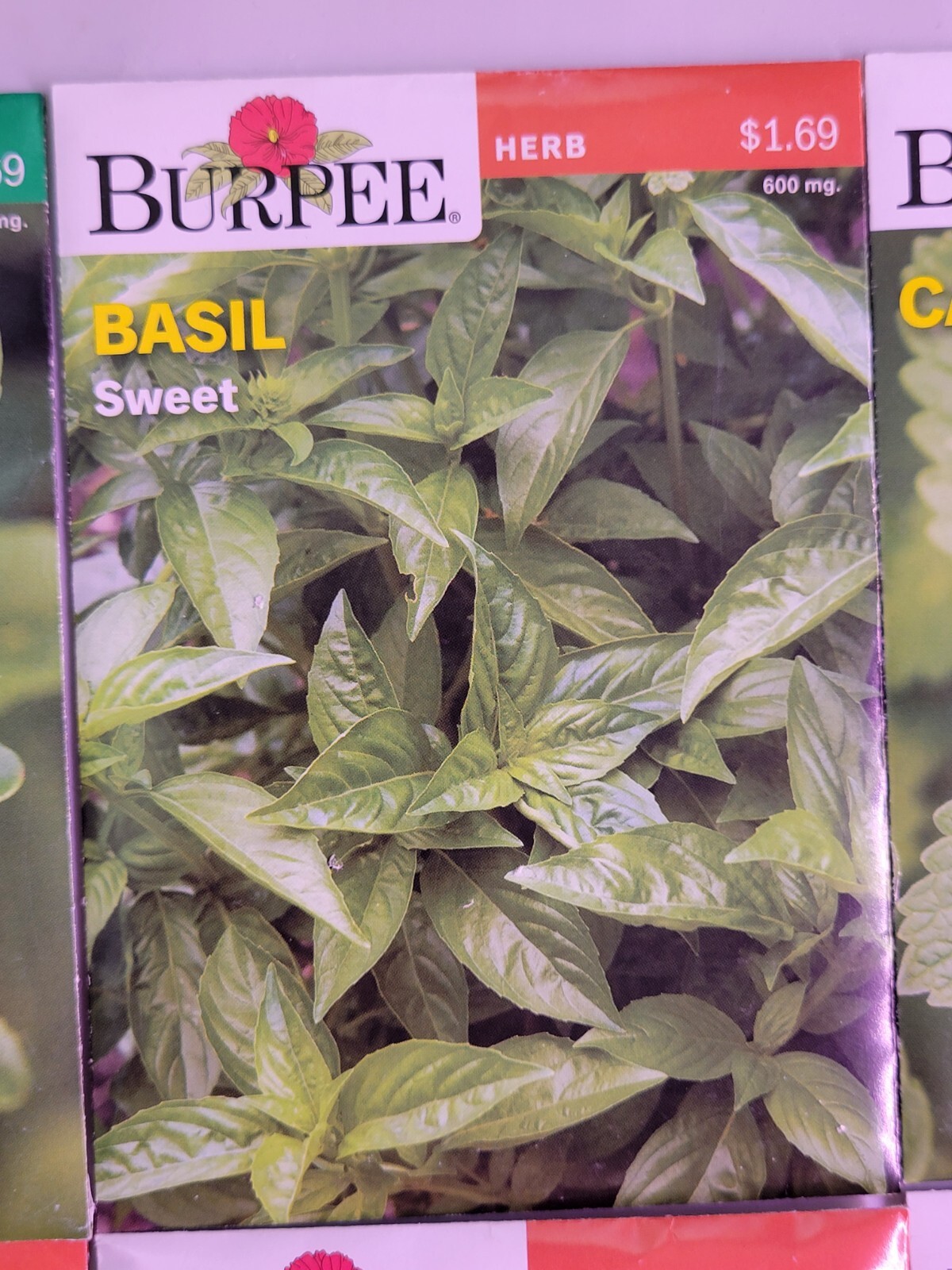 Burpee Herb Seed Assortment 1 (2021) New Sealed Inventory Guaranteed to Sprout