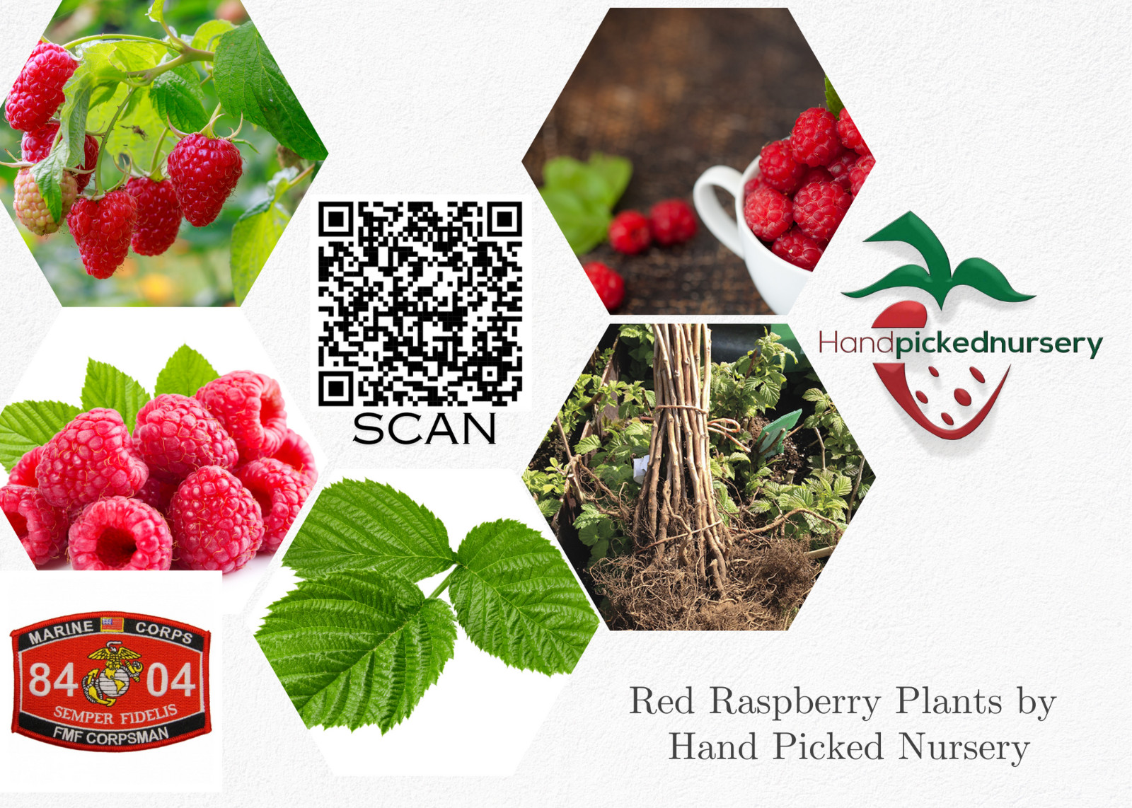 6 joan J Raspberry
