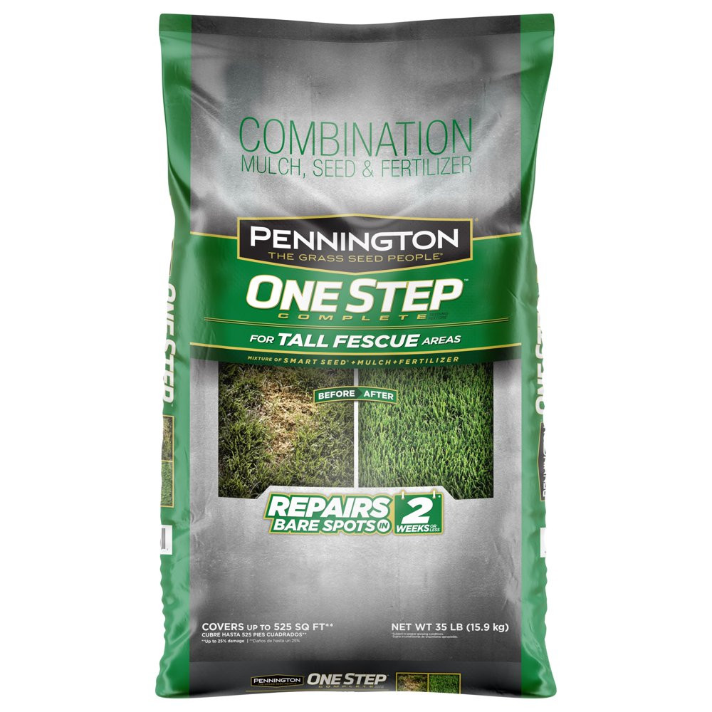 GRASS SEED PATCH REPAIR Tall Fescue for Sun to Partial Shade
