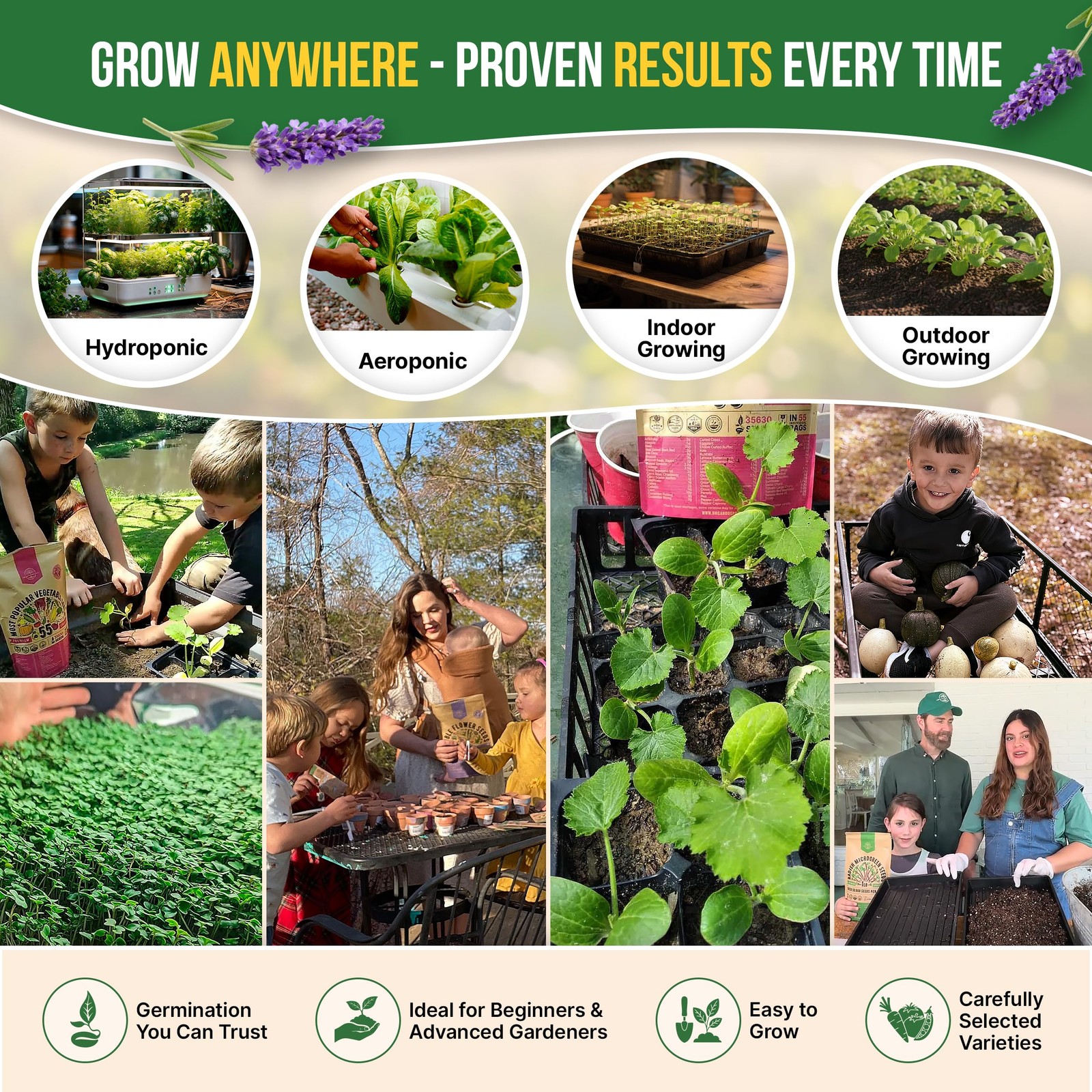 Culinary Herb Seeds Variety Pack 12 Types Non GMO Heirloom Outdoor Indoor Home G