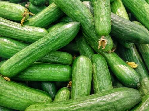 GARDEN SEED VARIETY PACK-5 VEGETABLE TYPES/4 FLOWER TYPES-SEE LISTING-SHIPS FREE