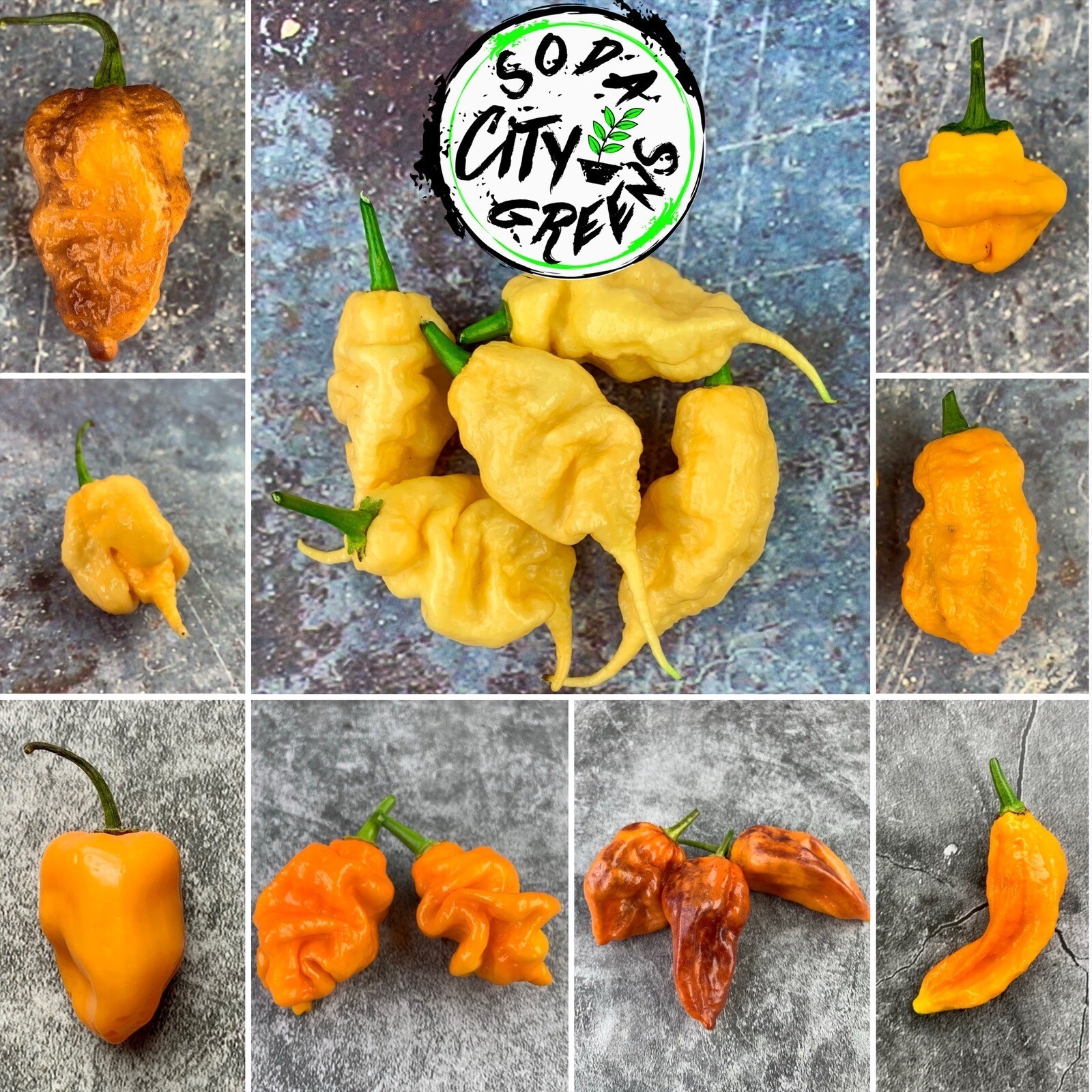 Sugar Rush Peach Pepper Seeds