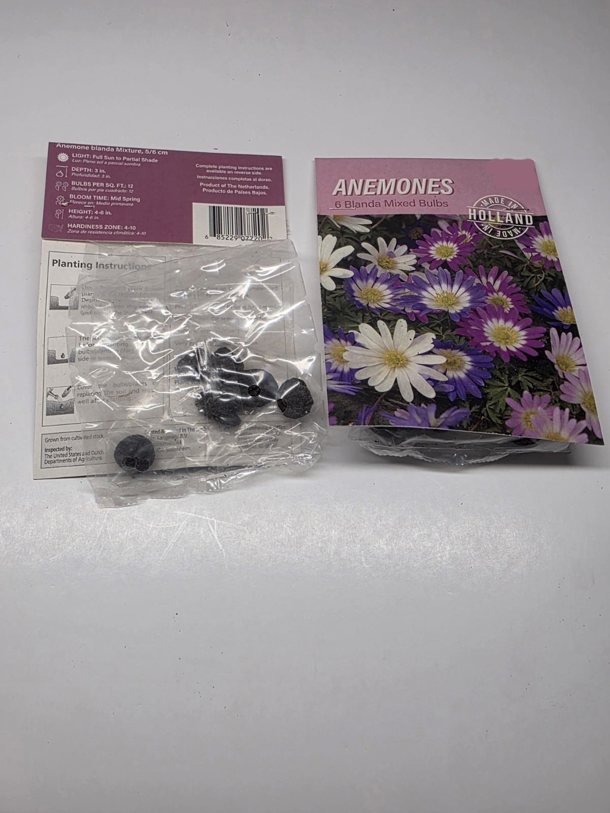 Easy to Grow Anemone Blanda Mixed Plant Bulbs Spring Blooming Flowers