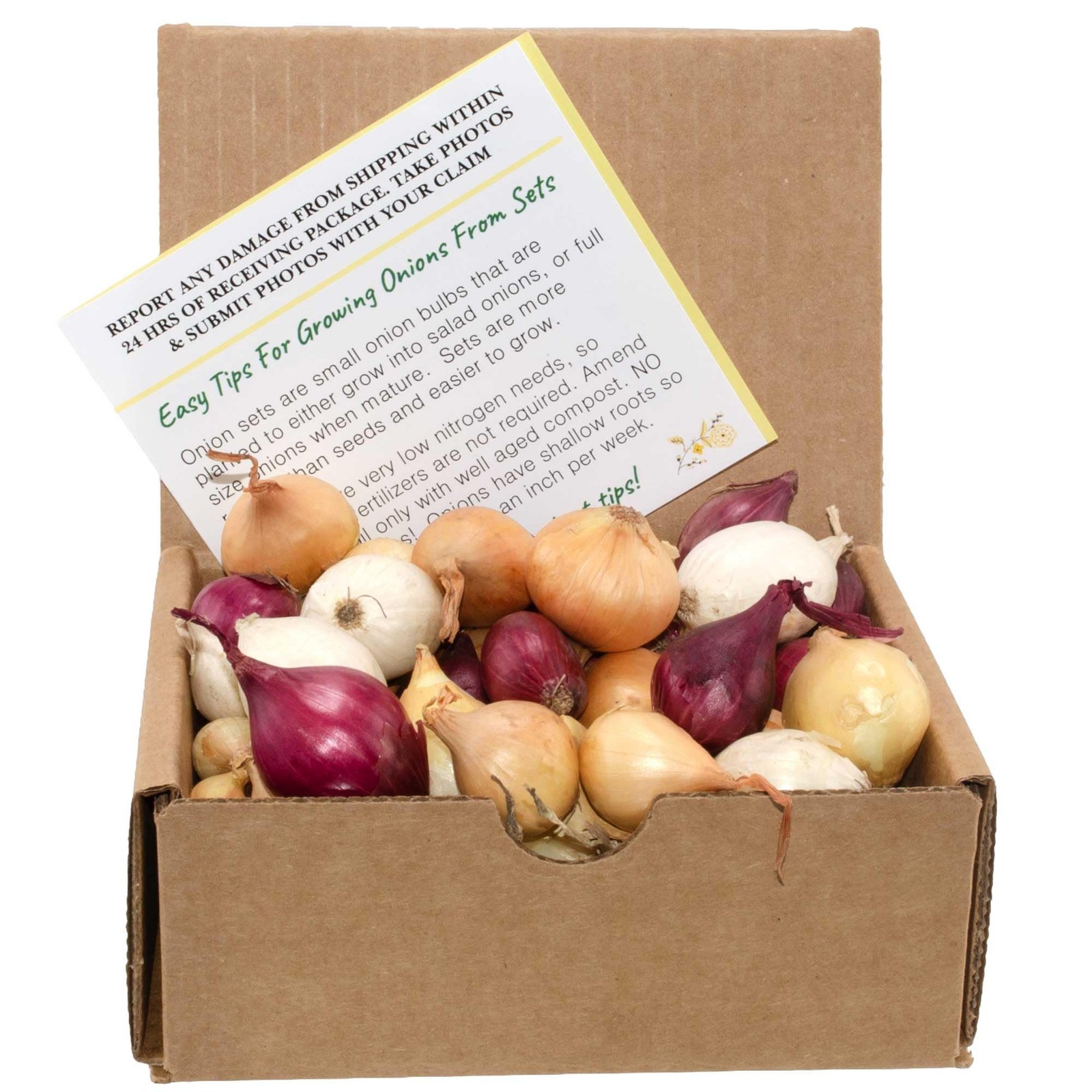 Mixed Onion Assortment 50 Plus Count Onion Sets – Red, White and Yellow Varie…