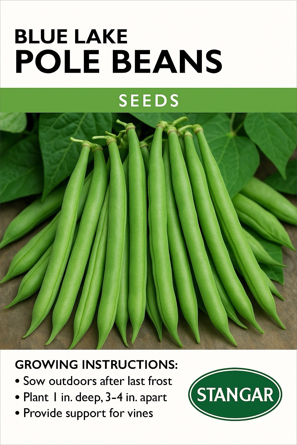 Blue Lake FM1k Green Bean (Pole) Seeds – For 2026 Planting Non-GMO Stringless