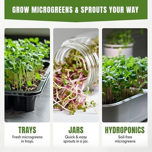 SproutMe Microgreens & Sprouting Seeds Variety 10 Microgreens & Sprouting Seeds