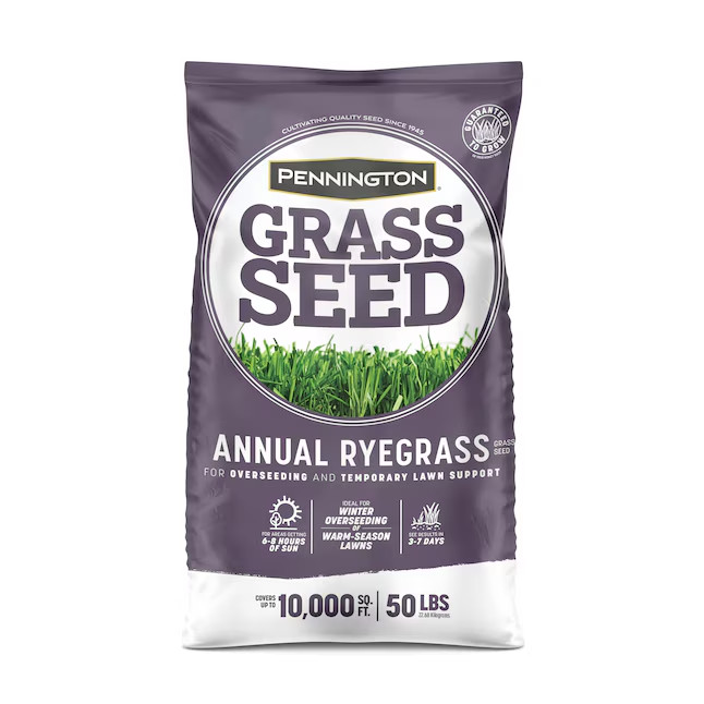 [FLASH SALE] Pennington 50-lb Annual Ryegrass Grass Seed