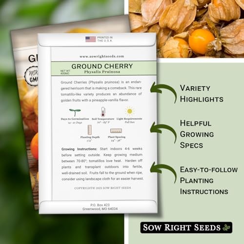 – Ground Cherries Seeds for Planting – Non-GMO Heirloom Packet with 1