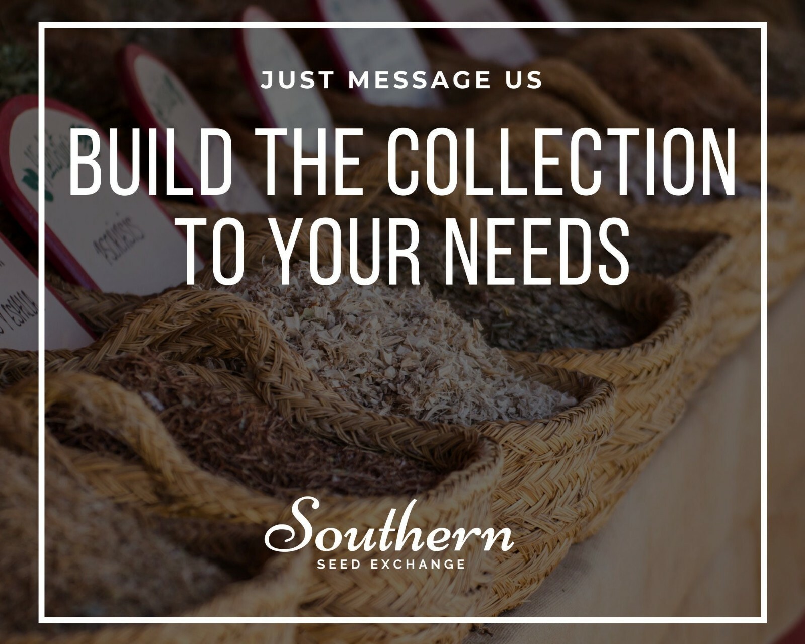 Herbal Tea Seed Collection – 6 Essential Herbs – Non-GMO