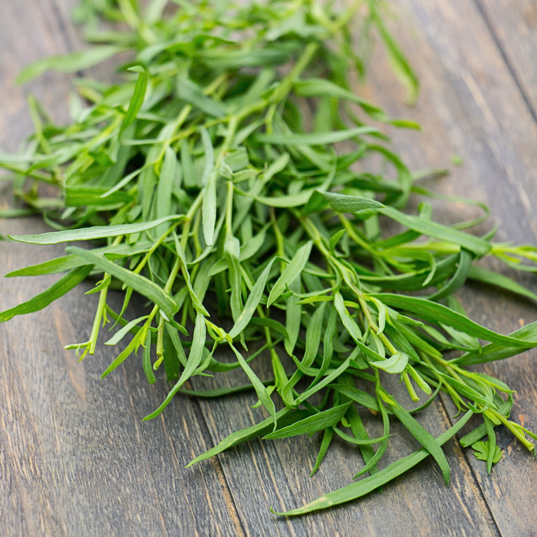 Fresh Tarragon Seeds | Cooking | Gardening | Heirloom Non-GMO | Herb Seeds