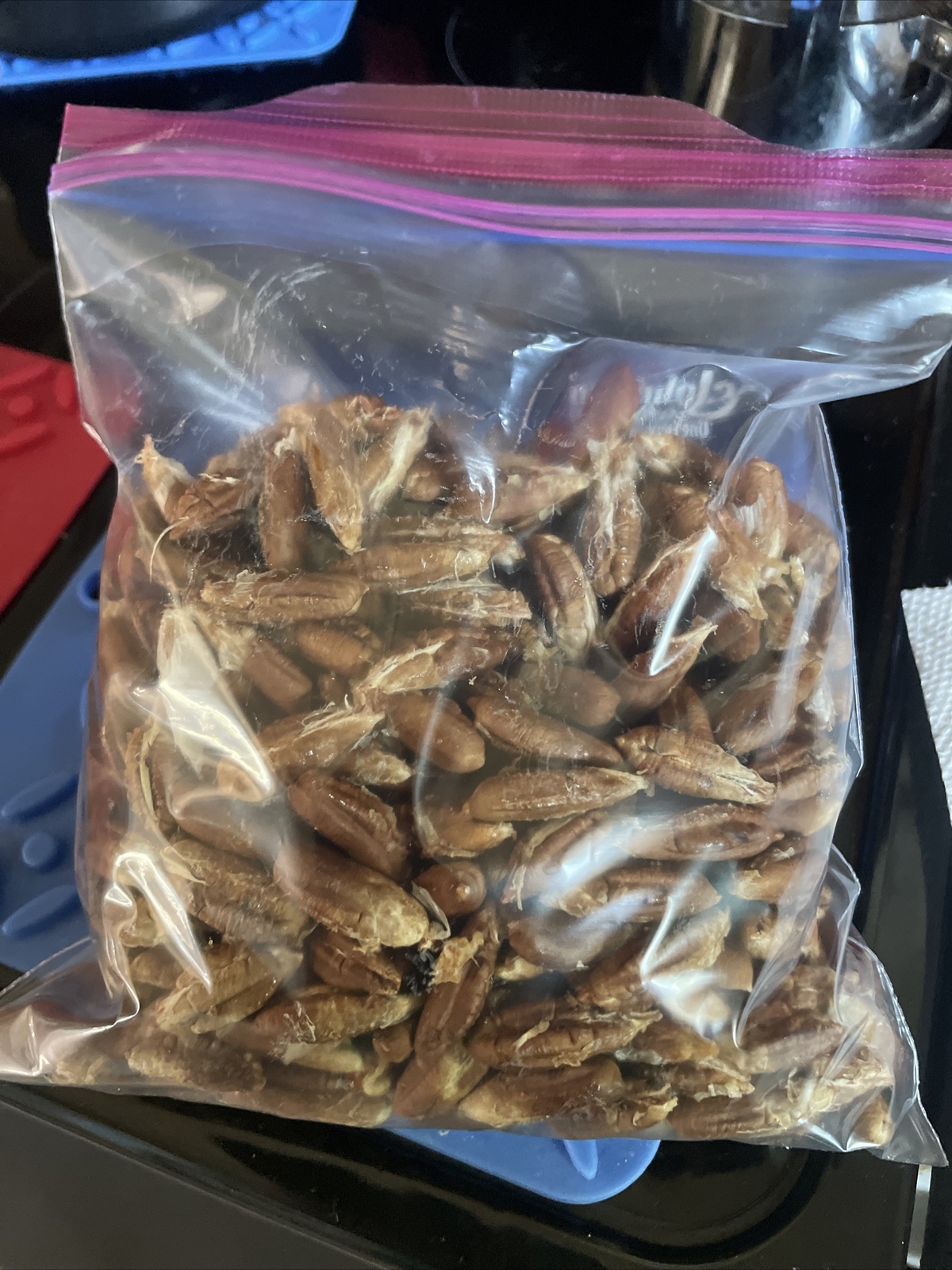 Medjool Date Palm Seeds/Pits