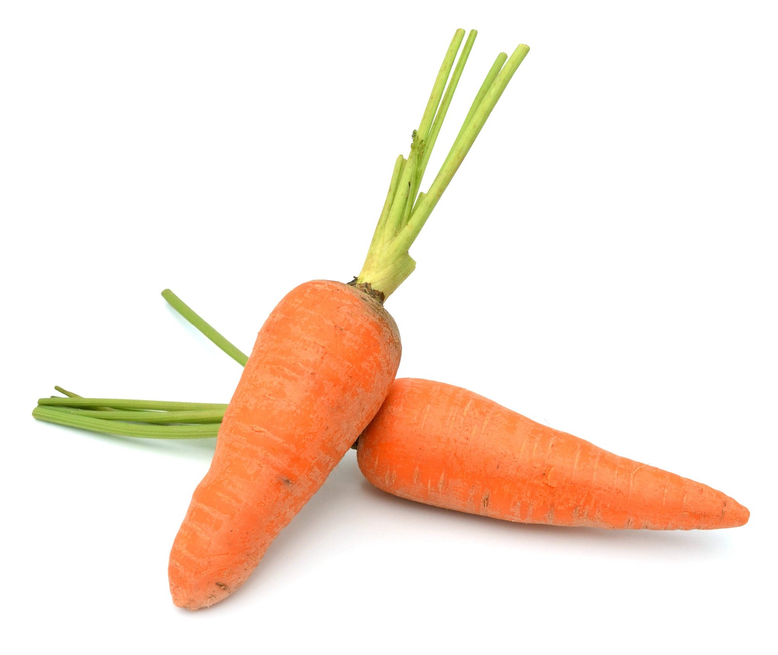 1500 LITTLE FINGERS CARROT Daucus Carota Vegetable Seeds