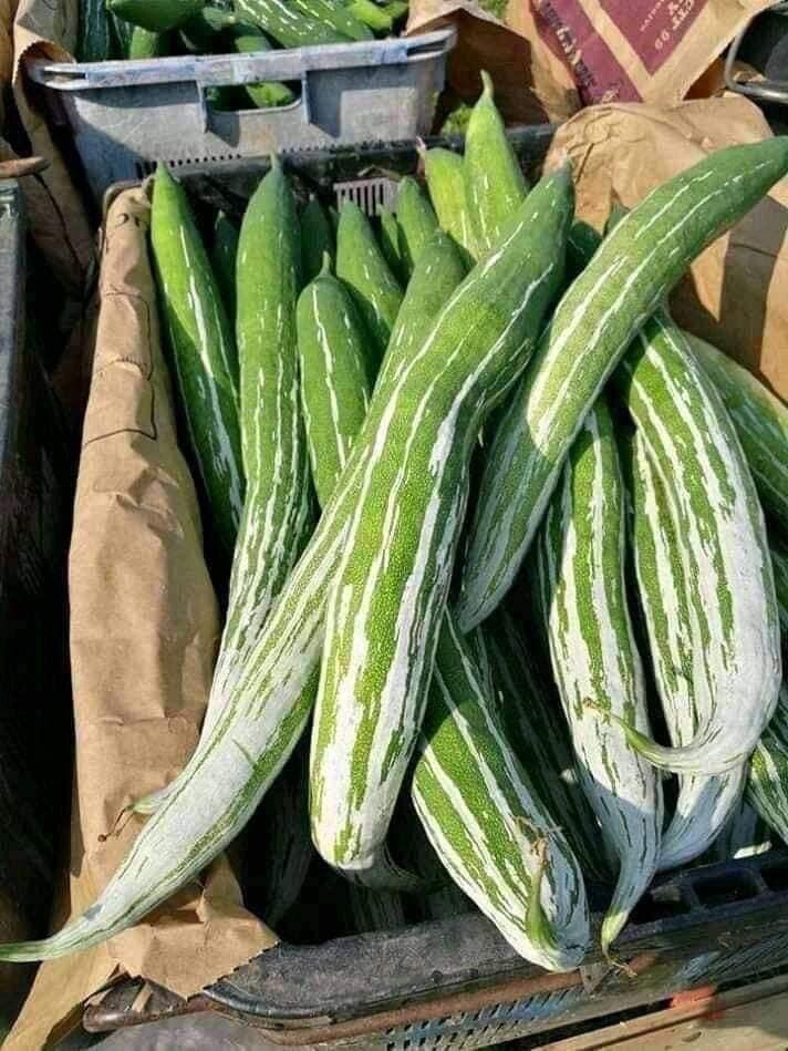 25 Buag Ngu Naga short snake serpent gourd seeds; non-GMO; Muop Lac Le Lặc Lè