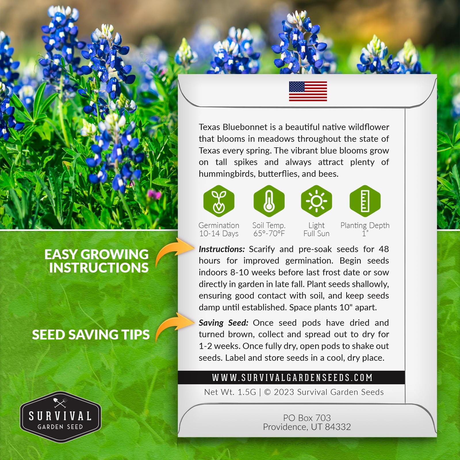 Texas Bluebonnet Seeds for Planting – 1 Packet with Instructions to Plant & G…