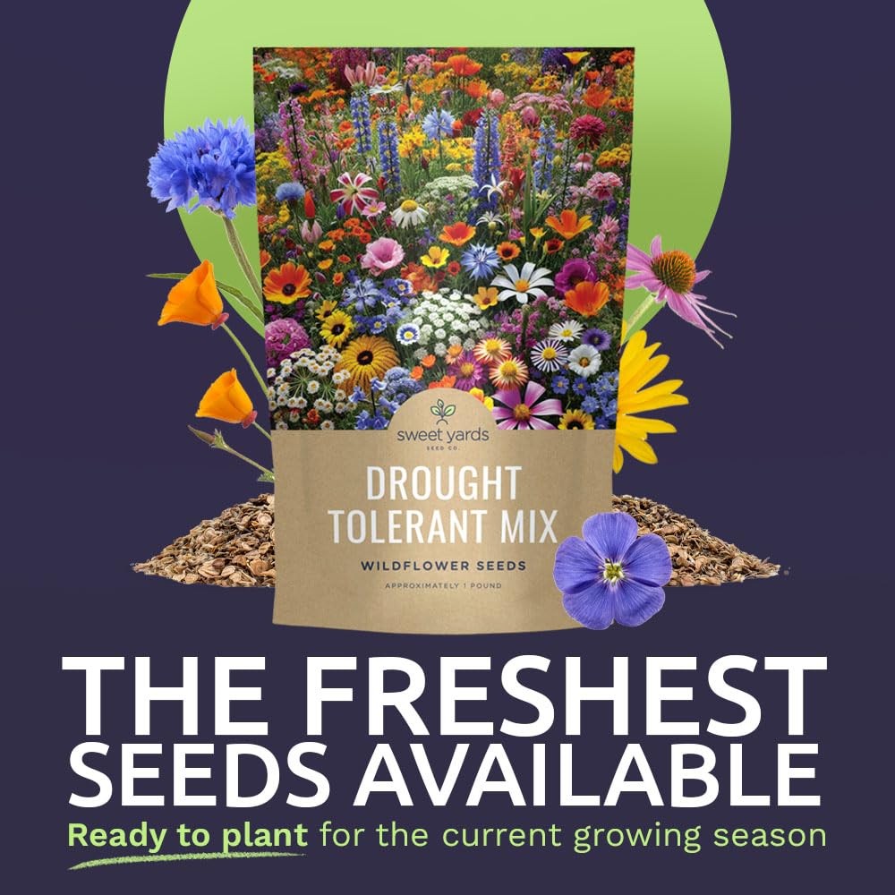 Drought Tolerant Wildflowers Mix – Bulk 1 Pound Bag – Over 120,000 Open Polli…