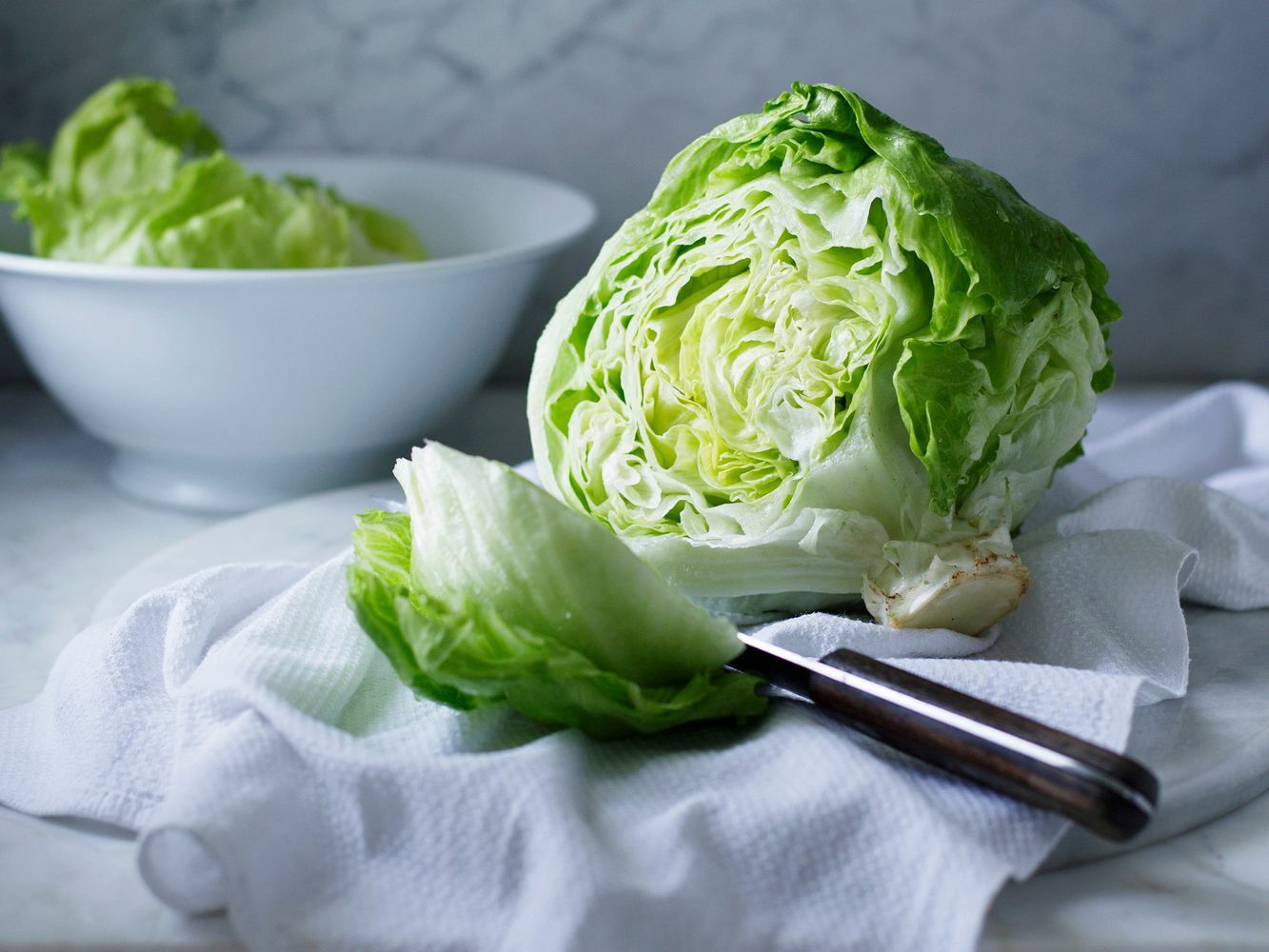 1000 ICEBERG LETTUCE SEEDS ~ heirloomseedguy ~ 2026 ~ NON-GMO