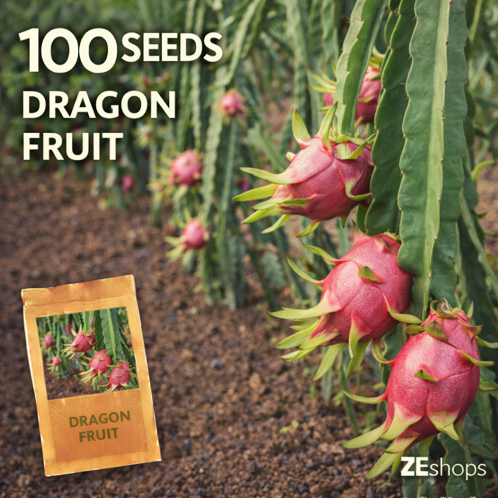 100 Dragon Fruit Seeds Pitaya Cactus Tropical Fruit Plant