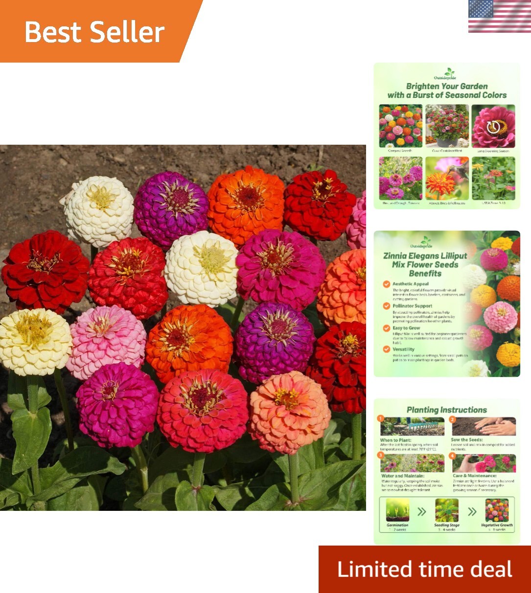 GMO-Free 1 Lb. Zinnia Seeds – Vibrant Annual Blooms for Summer to Winter Display