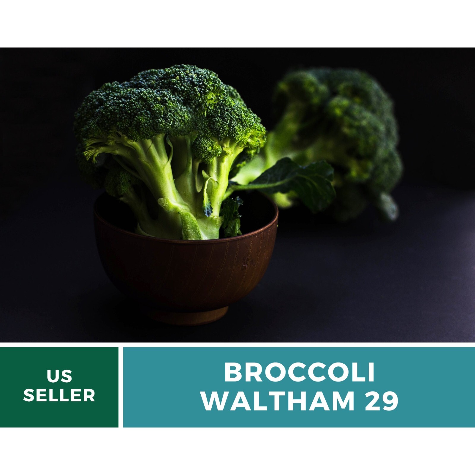 Broccoli, Waltham 29 – 100 Seeds, Heirloom Vegetable (Brassica oleracea)