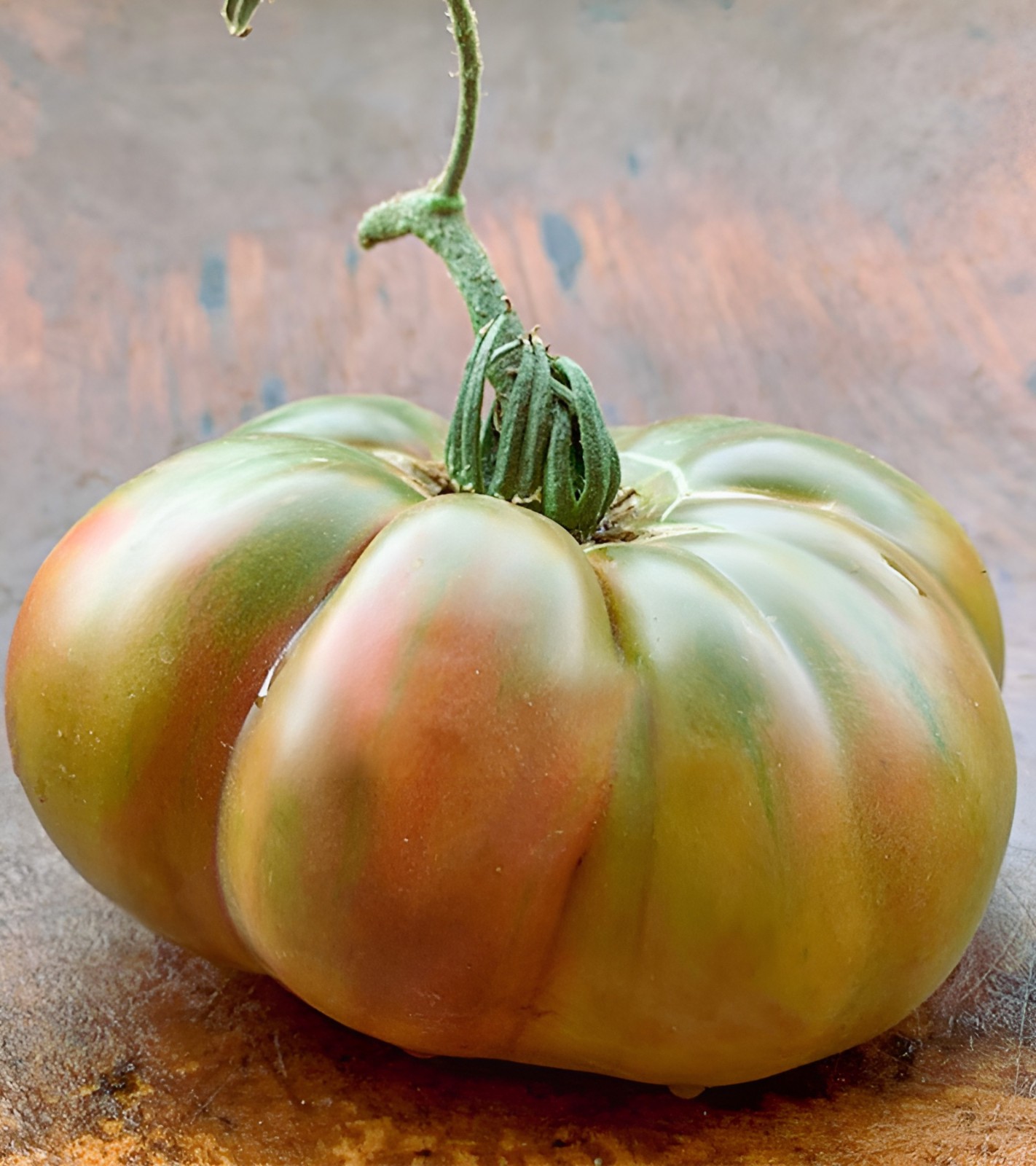 50 Heirloom Ananas Noire Tomato Seeds – Black Pineapple Indeterminate Bi-Color