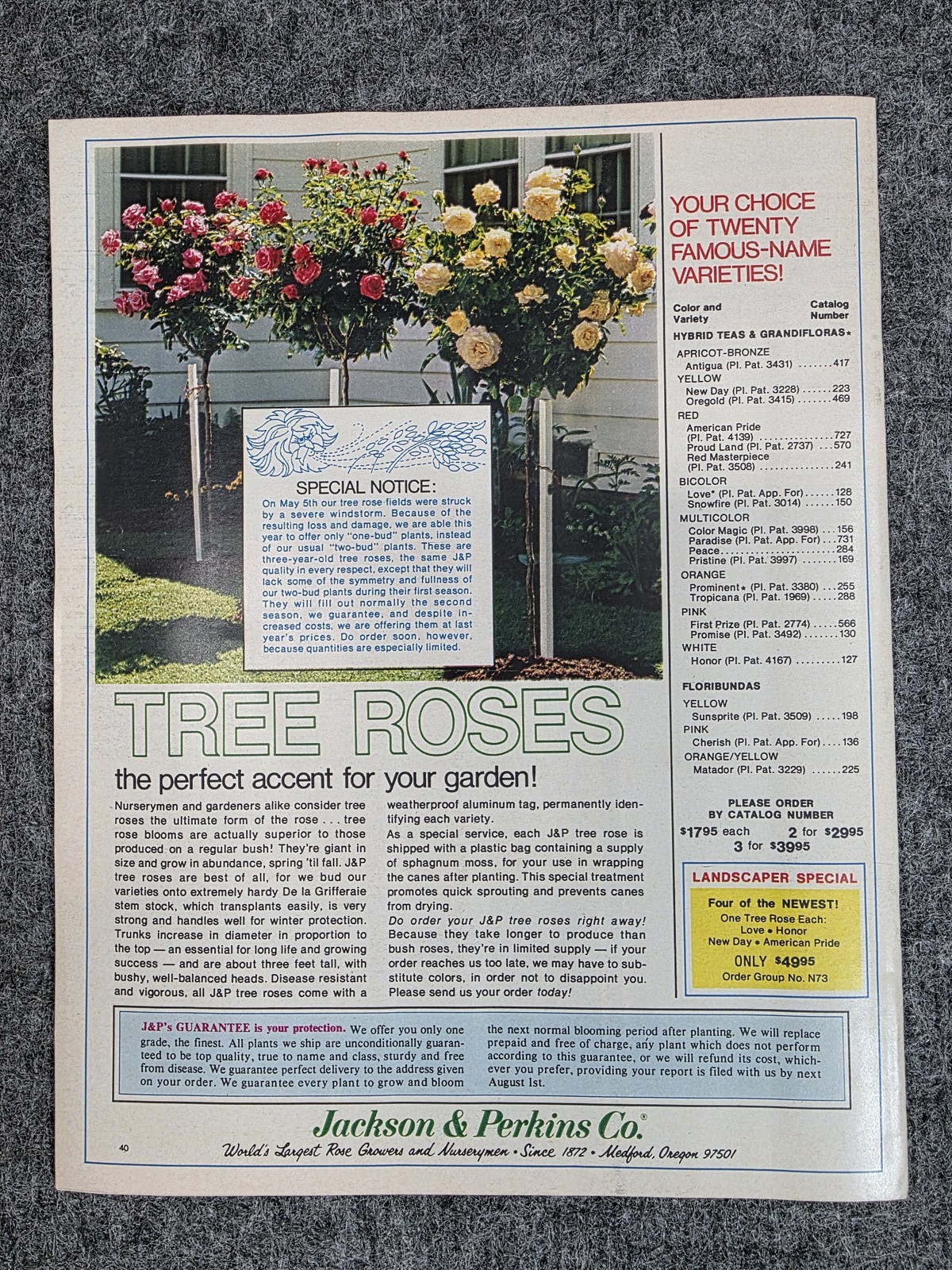 Vintage Jackson & Perkins Roses ’80 Catalog All-America Award Winners