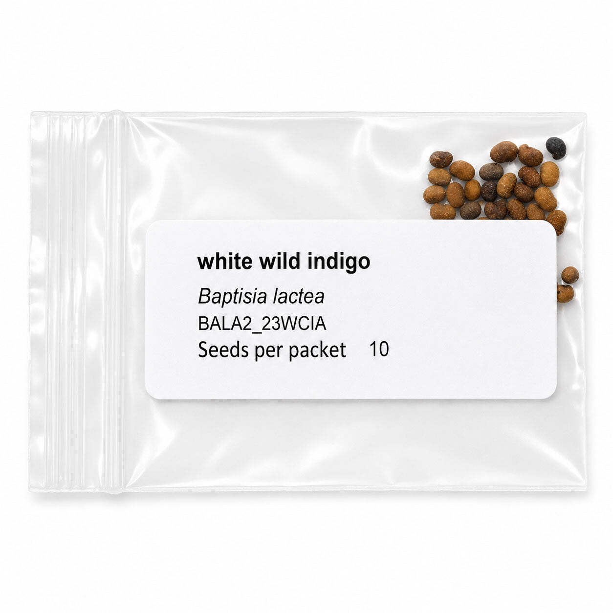Mini Native Tall Bird Lovers Seed Mix | Prairie Legacy Inc.