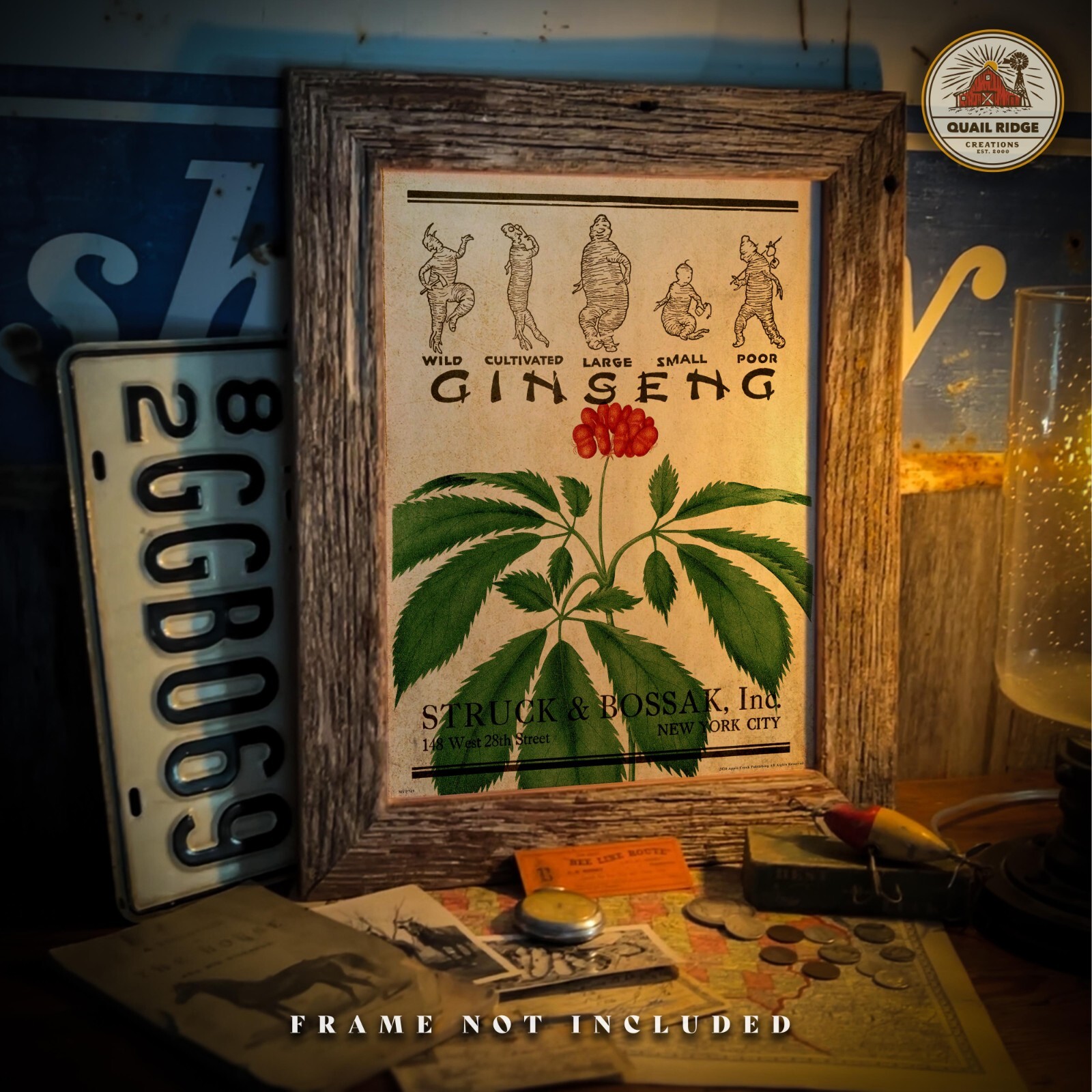 Wild Ginseng Root Poster Art Print Vintage Ginseng Hunting Wall Art Decor Gift