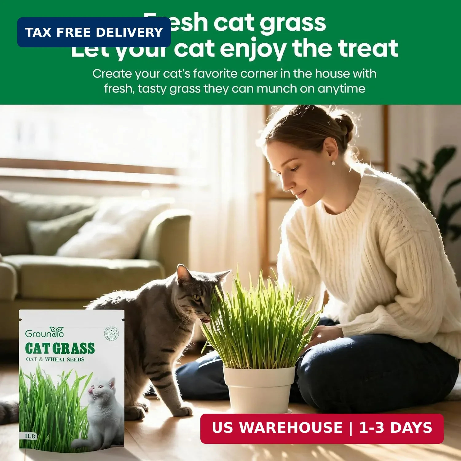 Groundio Cat Grass Seeds 4 OZ | Wheat & Oat Seeds Mix