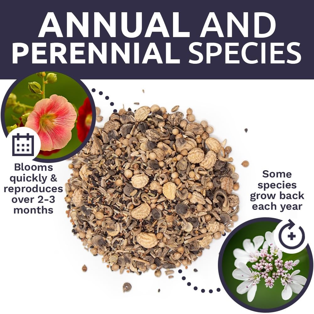Seeds Edible Flowers Mix 1 Ounce Over 7,000 Open Pollinated Annual and Perennial
