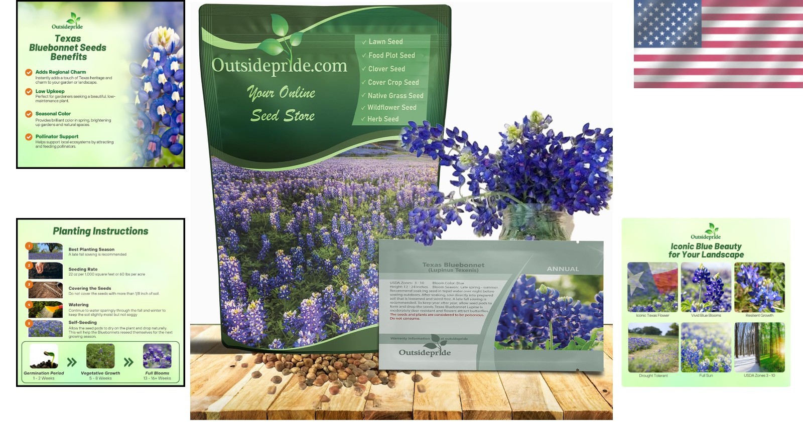 Lupinus Texensis Seeds – Thrive in Full Sun & Sandy Soil