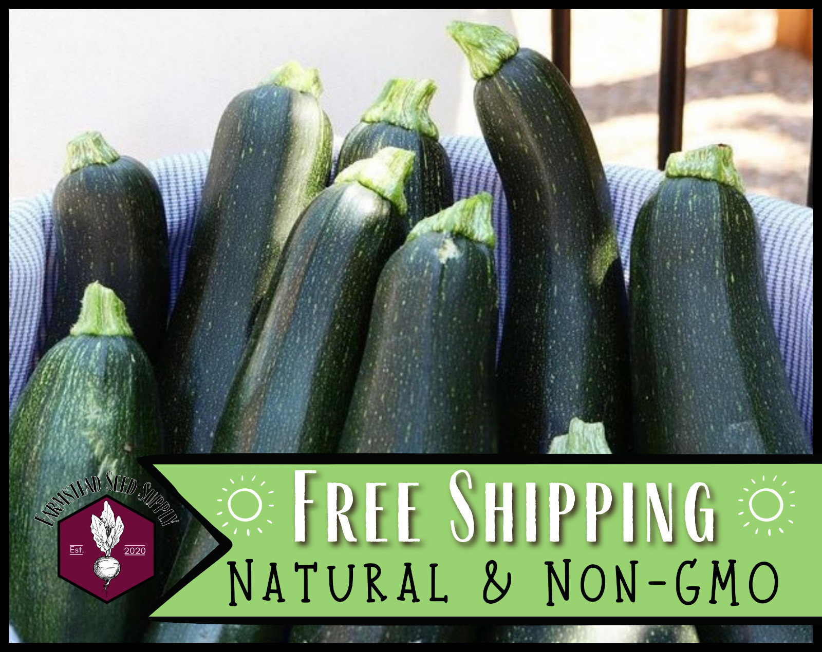 45+ Zucchini Squash Seeds [Black Beauty] Heirloom Vegetable Garden Seed, USA