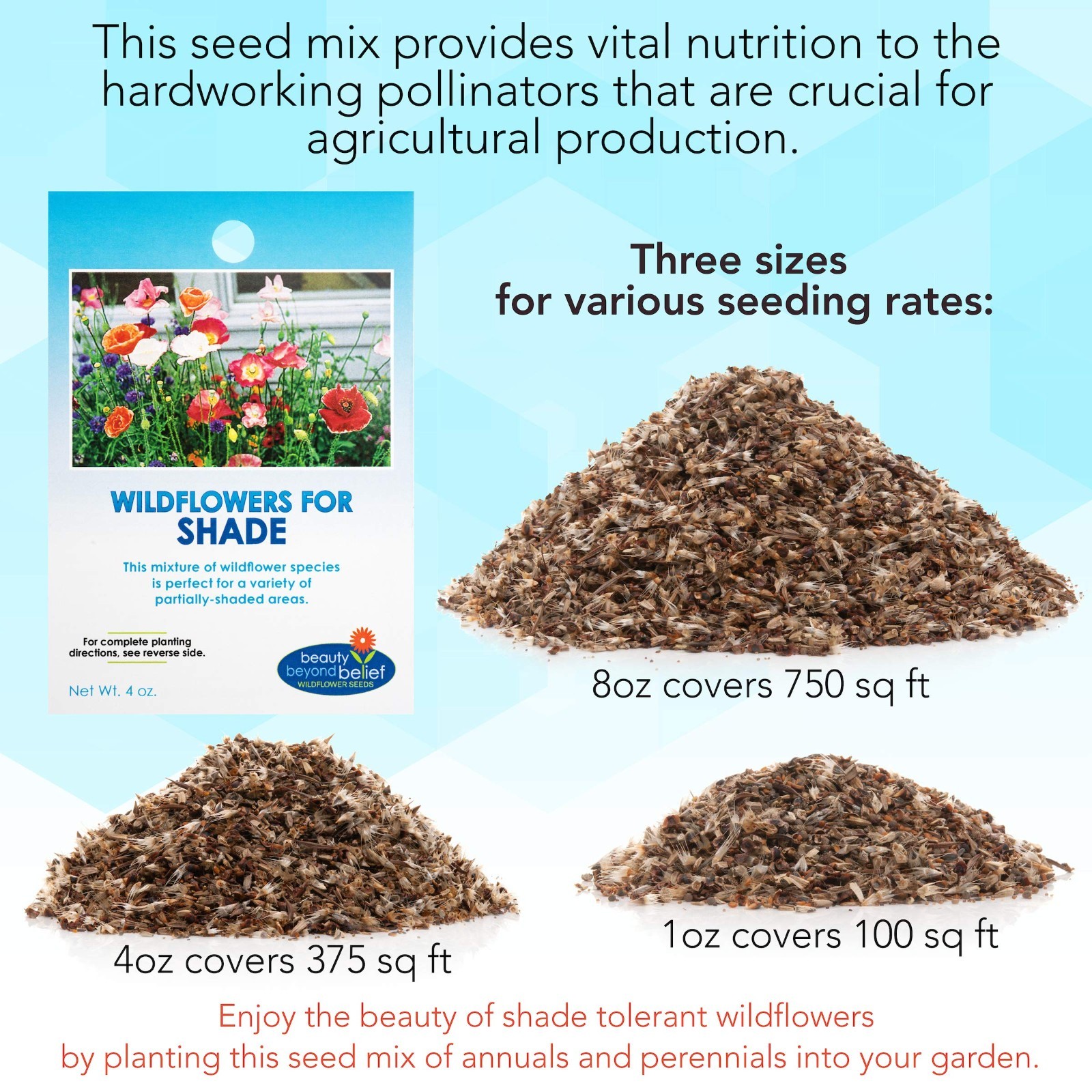 Wildflower Seed Mix 4oz – Open-Pollinated, No Fillers, Annual & Perennial Seeds