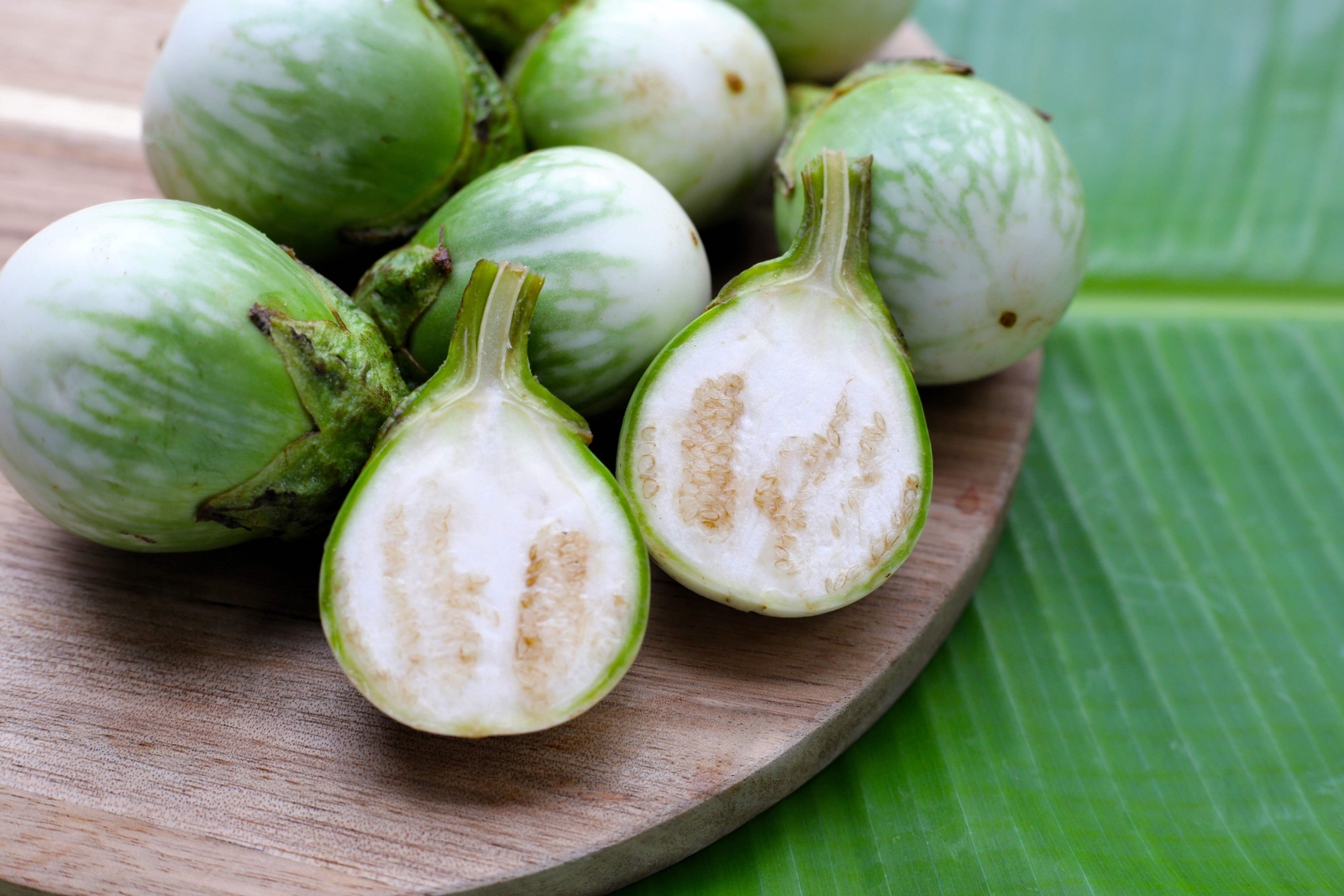 10 KERMIT EGGPLANT Green White Thai Solanum Melongena Fruit Vegetable Seeds