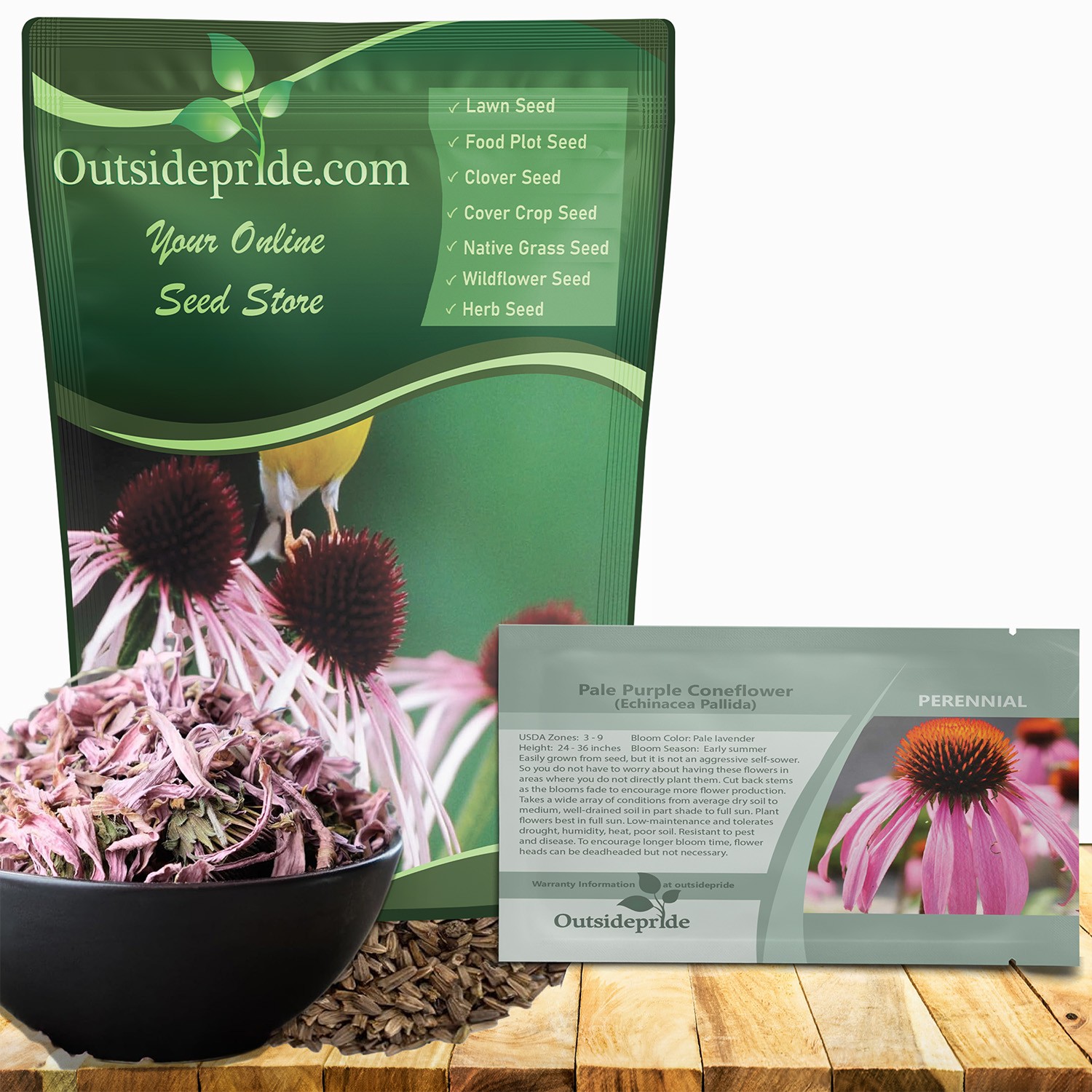 1 LB Echinacea Pallida Drought Tolerant Pale Purple Coneflower Flower Seeds