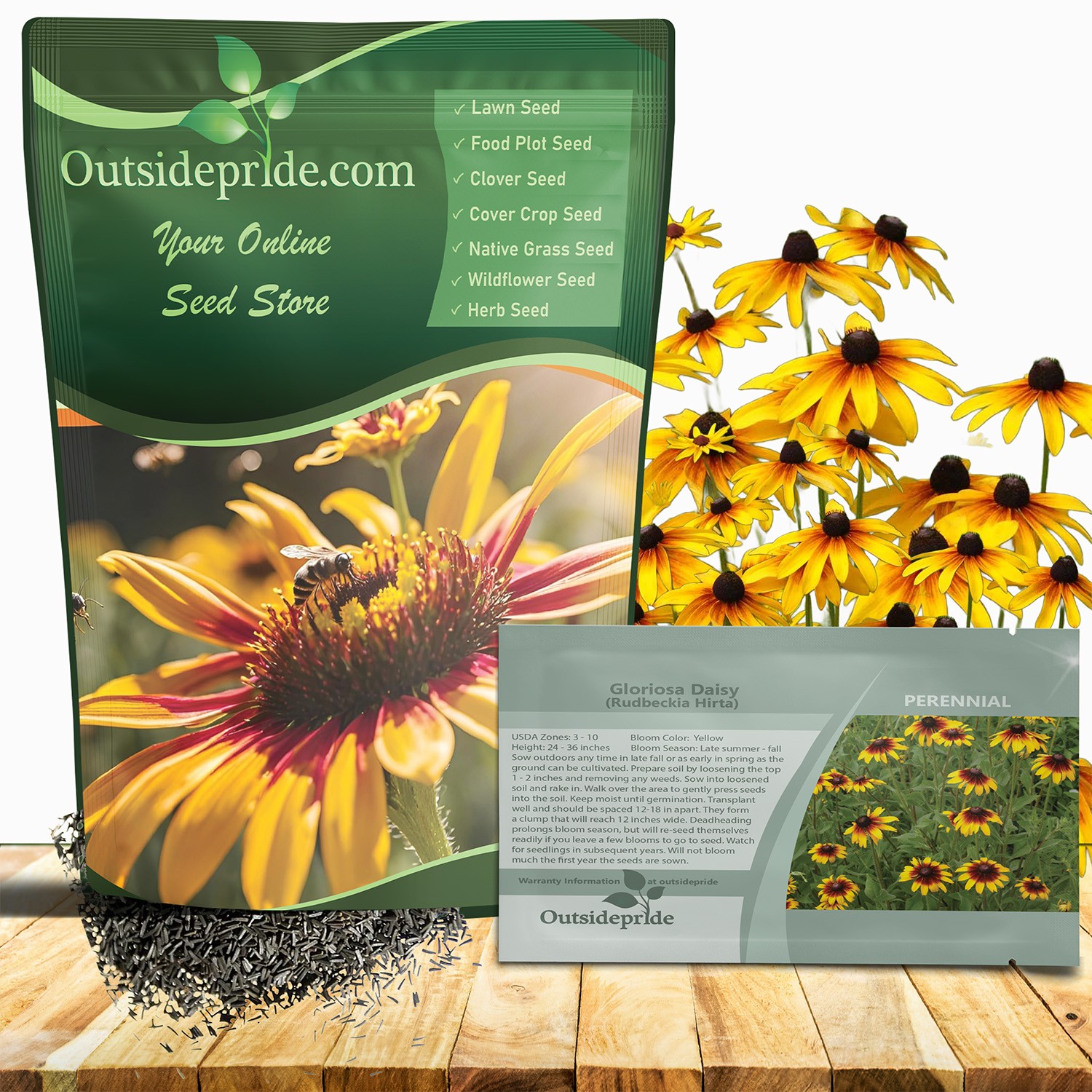 5 LBS Rudbeckia Hirta Seeds Gloriosa Daisy Drought Tolerant Wildflower Seed