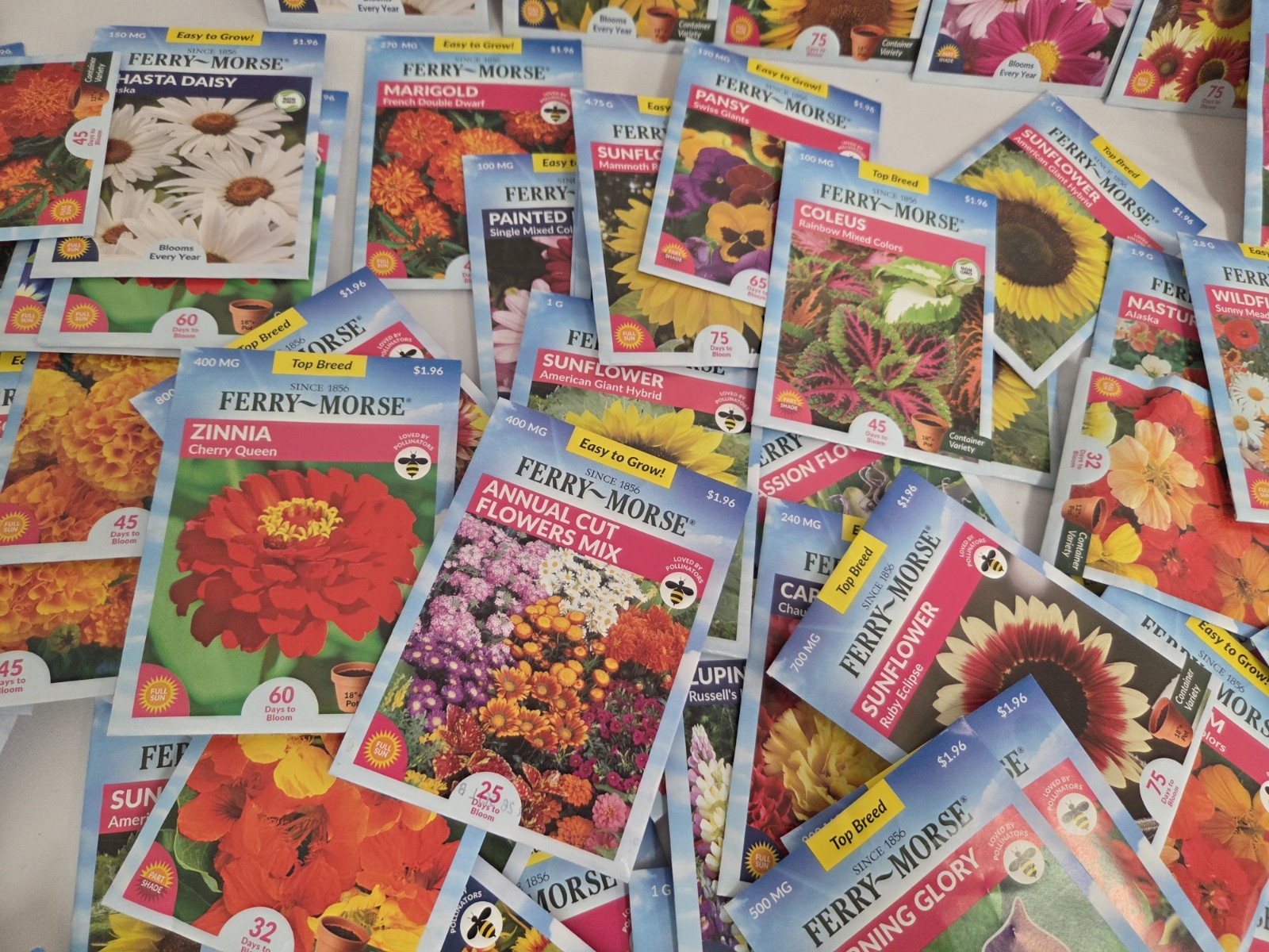 Lot Of 100 Variety Flower Seeds Packs Garden Pollinator- ALL FERRY MORSE 12/26