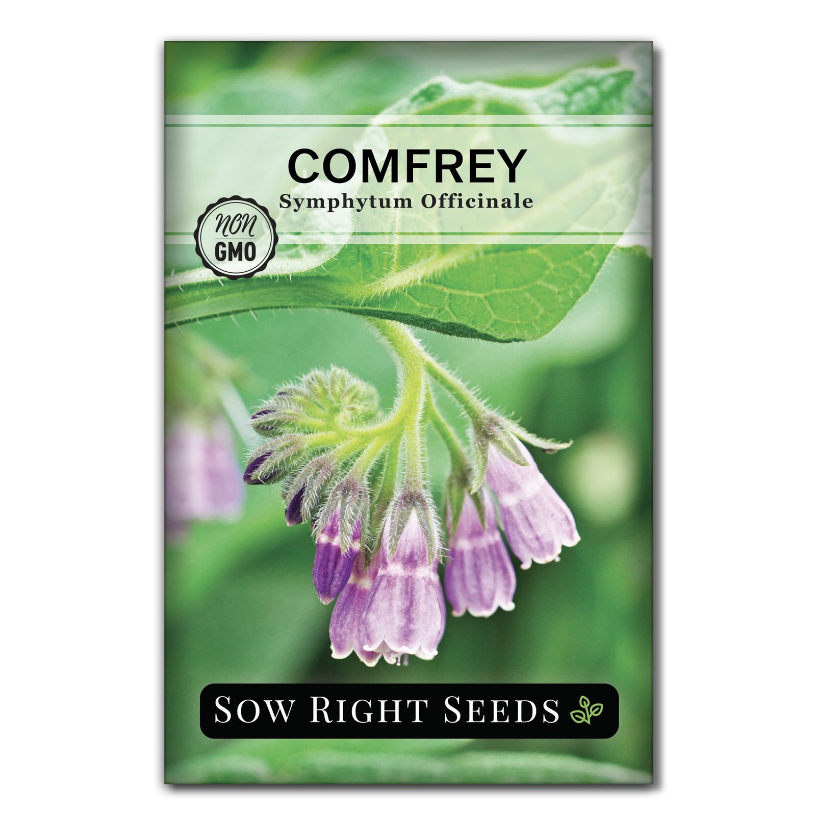 – Comfrey Seeds for Planting – Non-GMO Heirloom Packet with Instructions to P…