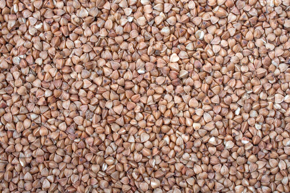 Buckwheat Seeds for Planting – Cover Crop, Grain, Bee Pasture, Pollinator, Wildl