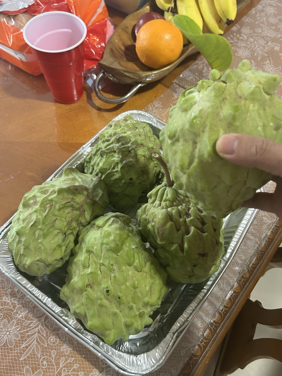 10+ Extra Sweet Sugar Apple Australian Seeds | Sweetsop Mang cau | Trái Na