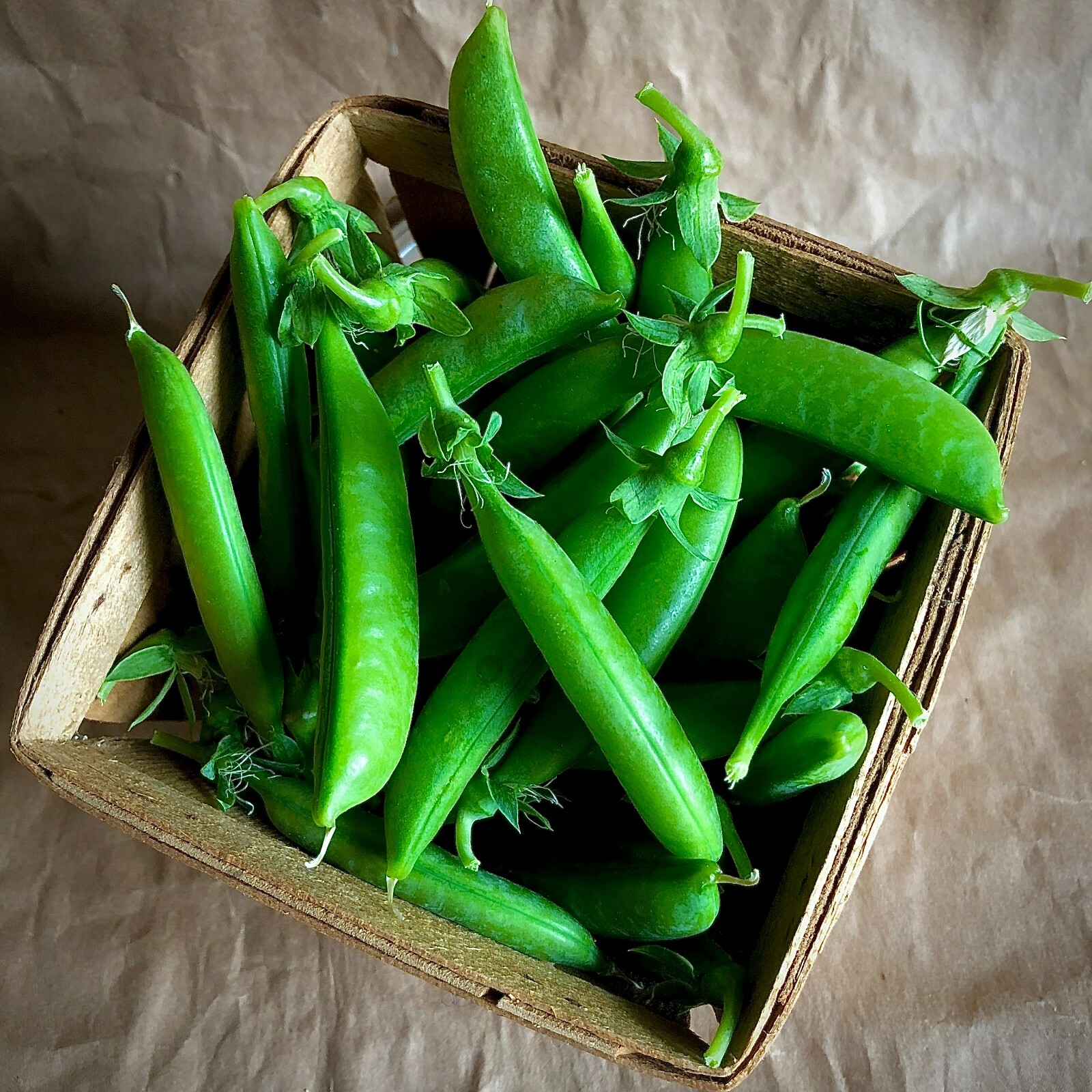 25+ Sugar Snap Pea Seeds HEIRLOOM-NON-GMO, Always Fresh Seeds for Your Garden
